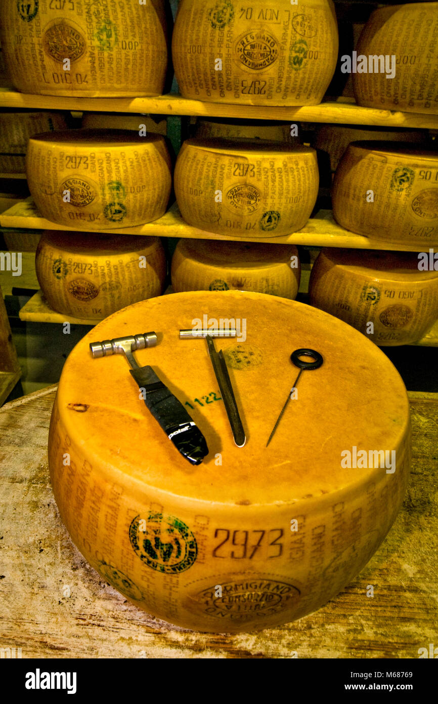 Outils pour le contrôle de qualité : le fromage Parmigiano-Reggiano Méthode de saisie - Coop Casearia Castelnovese, Castelnuovo Rangone ( Province de Modène, Italie) Banque D'Images