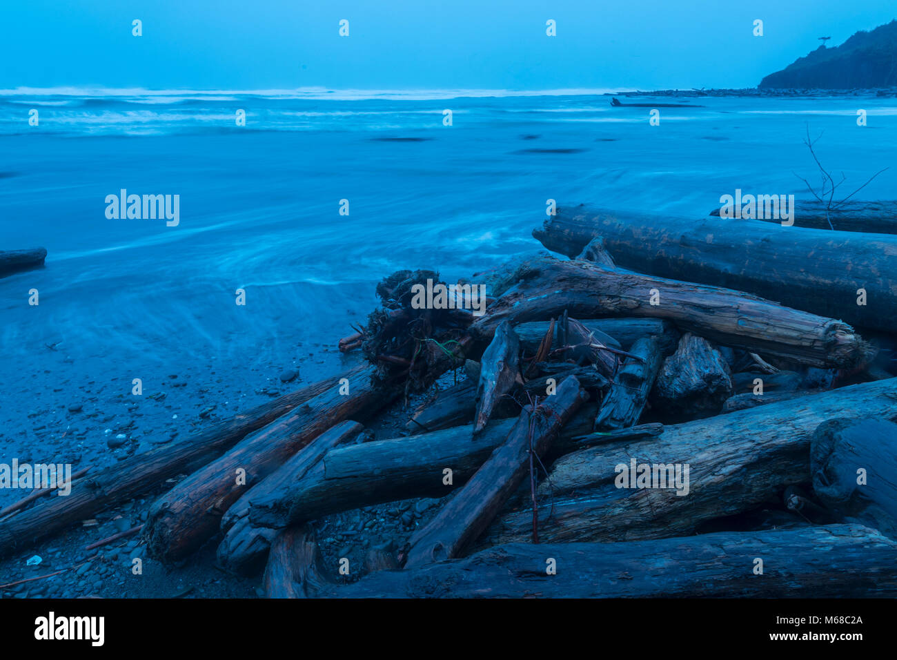 Jour pour vue de la nuit de Kalaloch Beach et se connecte à l'Olympic National Park, Washington State. Banque D'Images