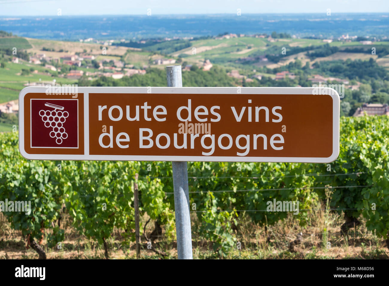 Route des vins de Bourgogne Solutré Pouilly Saône-et-Loire Bourgogne-Franche-Comté  France Photo Stock - Alamy