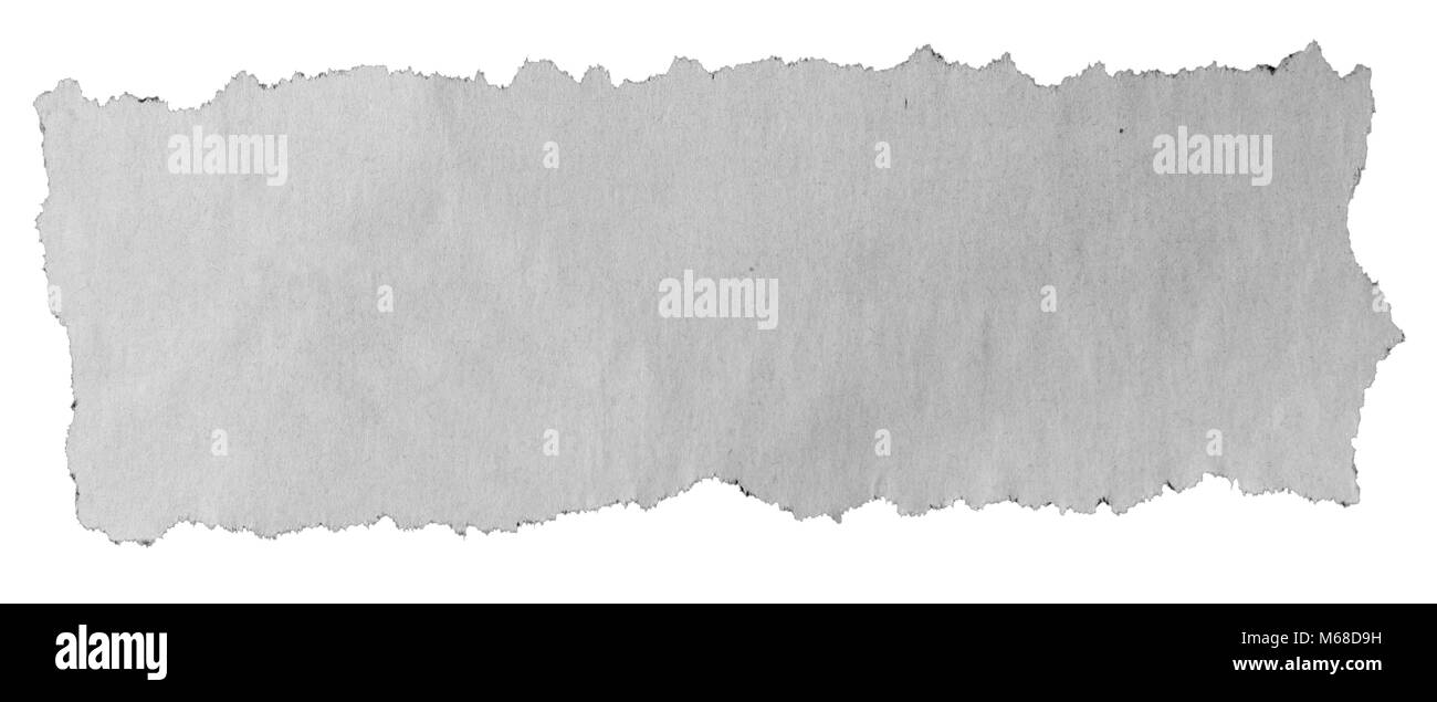 Morceau de papier déchiré sur fond uni Banque D'Images