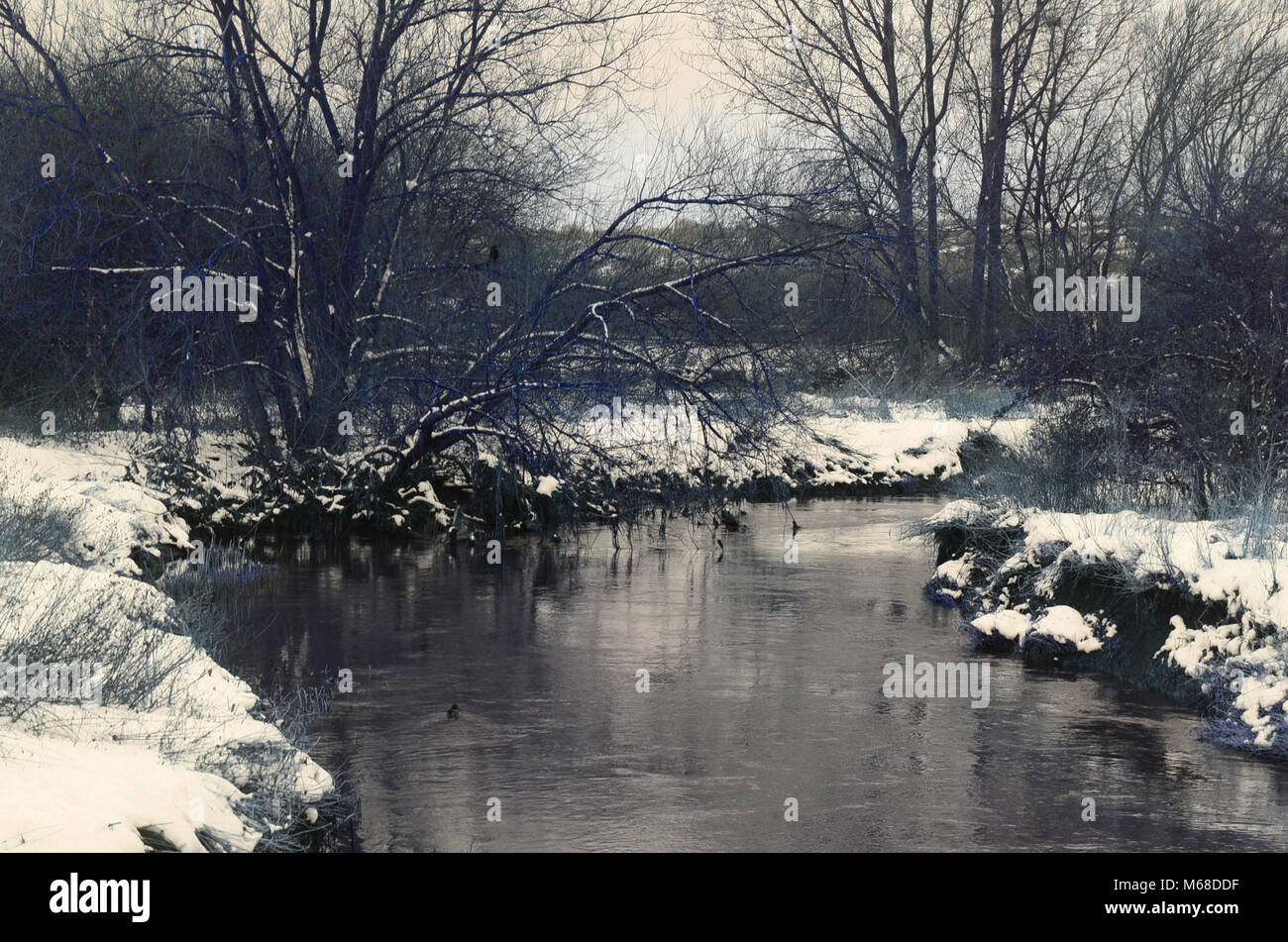 Image en noir et blanc de l'hiver, scène de rivière, uk british river dans la neige Banque D'Images