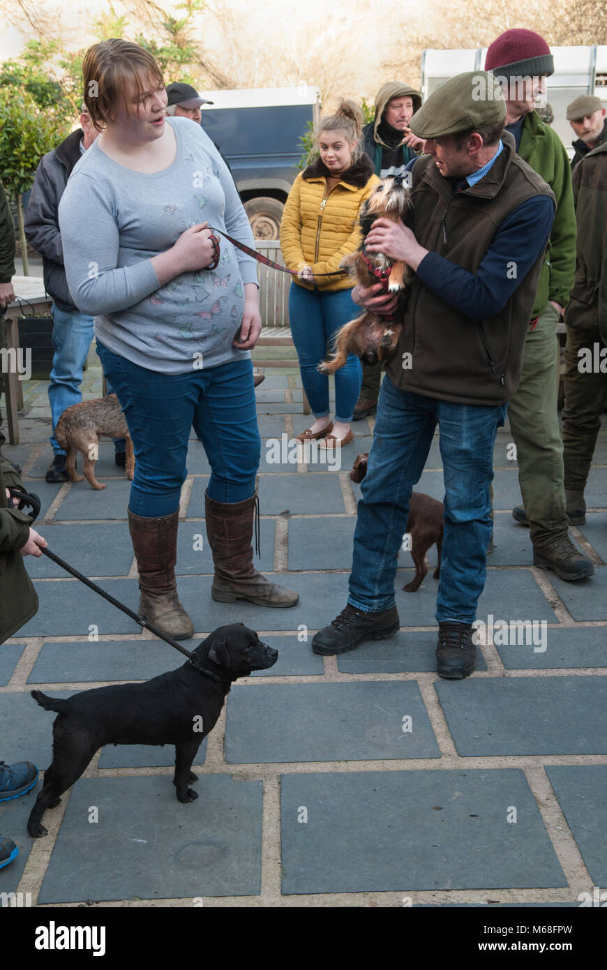 Voir terrier Jack Russell juge de juger les chiens locaux Lake District 2018 UK 2010s. HOMER SYKES Banque D'Images