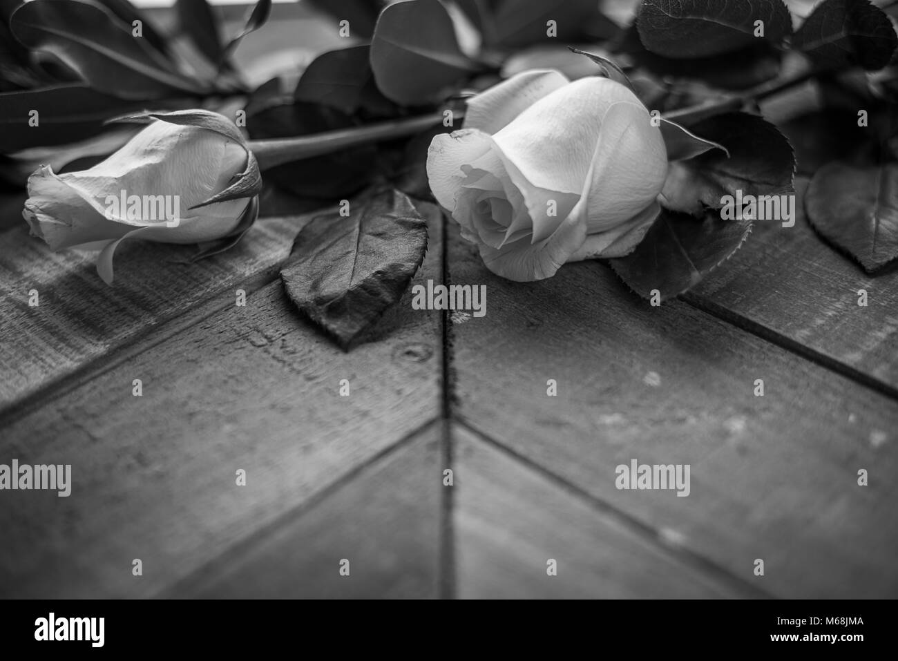 Des roses blanches sur la surface du bois Grange altérés avec modèle de conception angulaire Banque D'Images