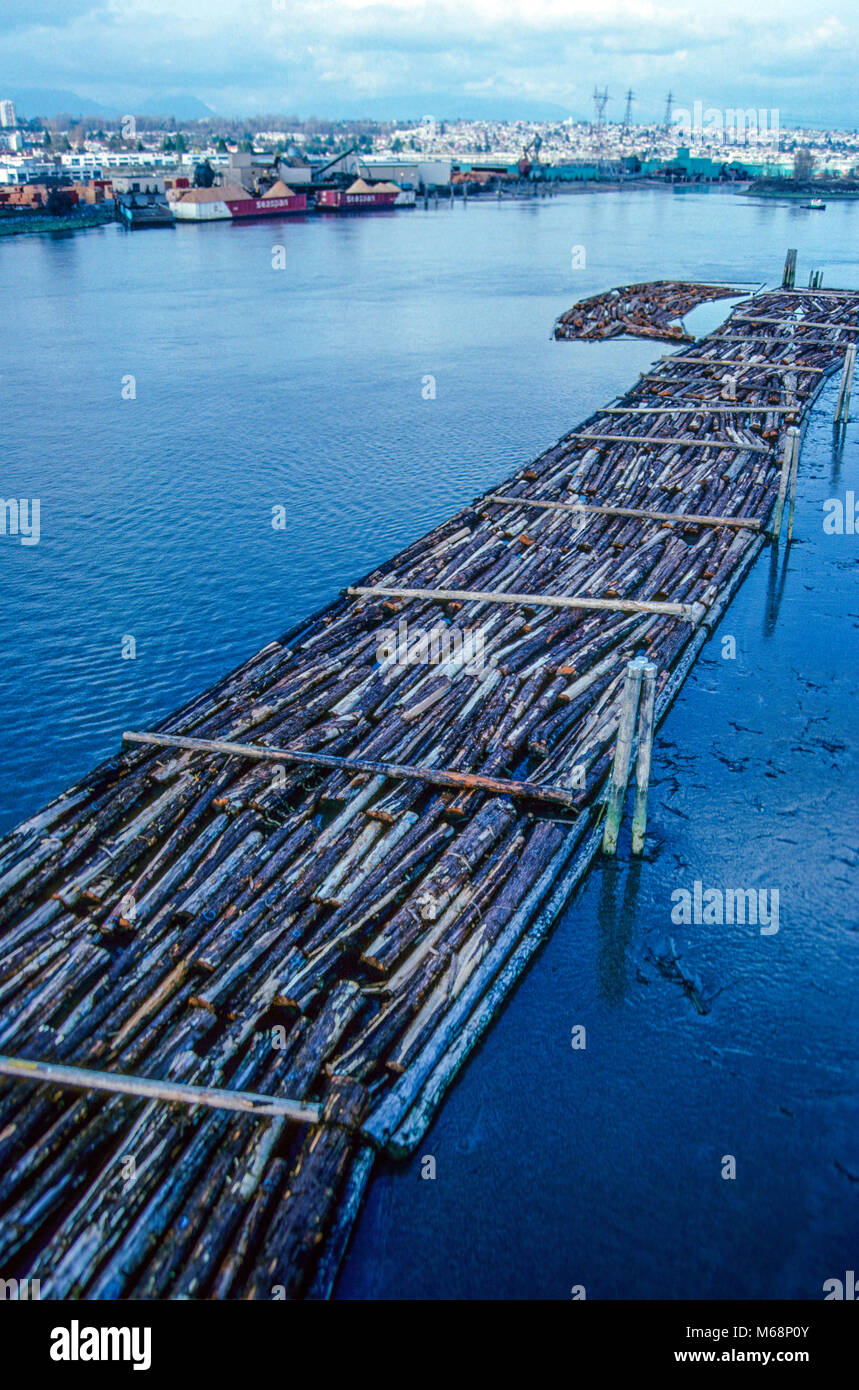 Journaux sur la rivière en attendant d'être transformé en pâte, de Port Alberni, l'île de Vancouver, Colombie-Britannique, Canada. Banque D'Images