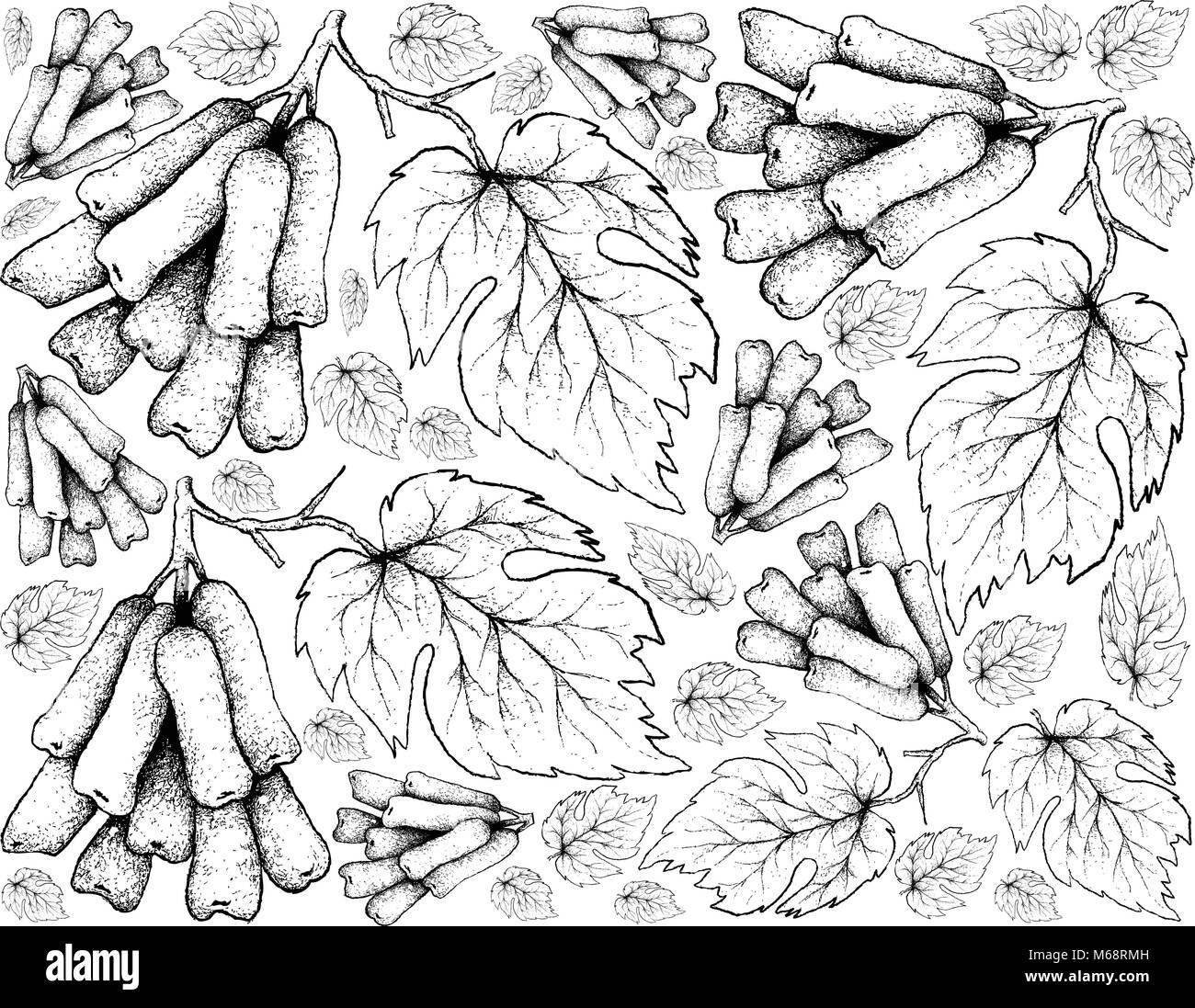 Des fruits, de l'illustration papier peint fond de croquis dessinés à