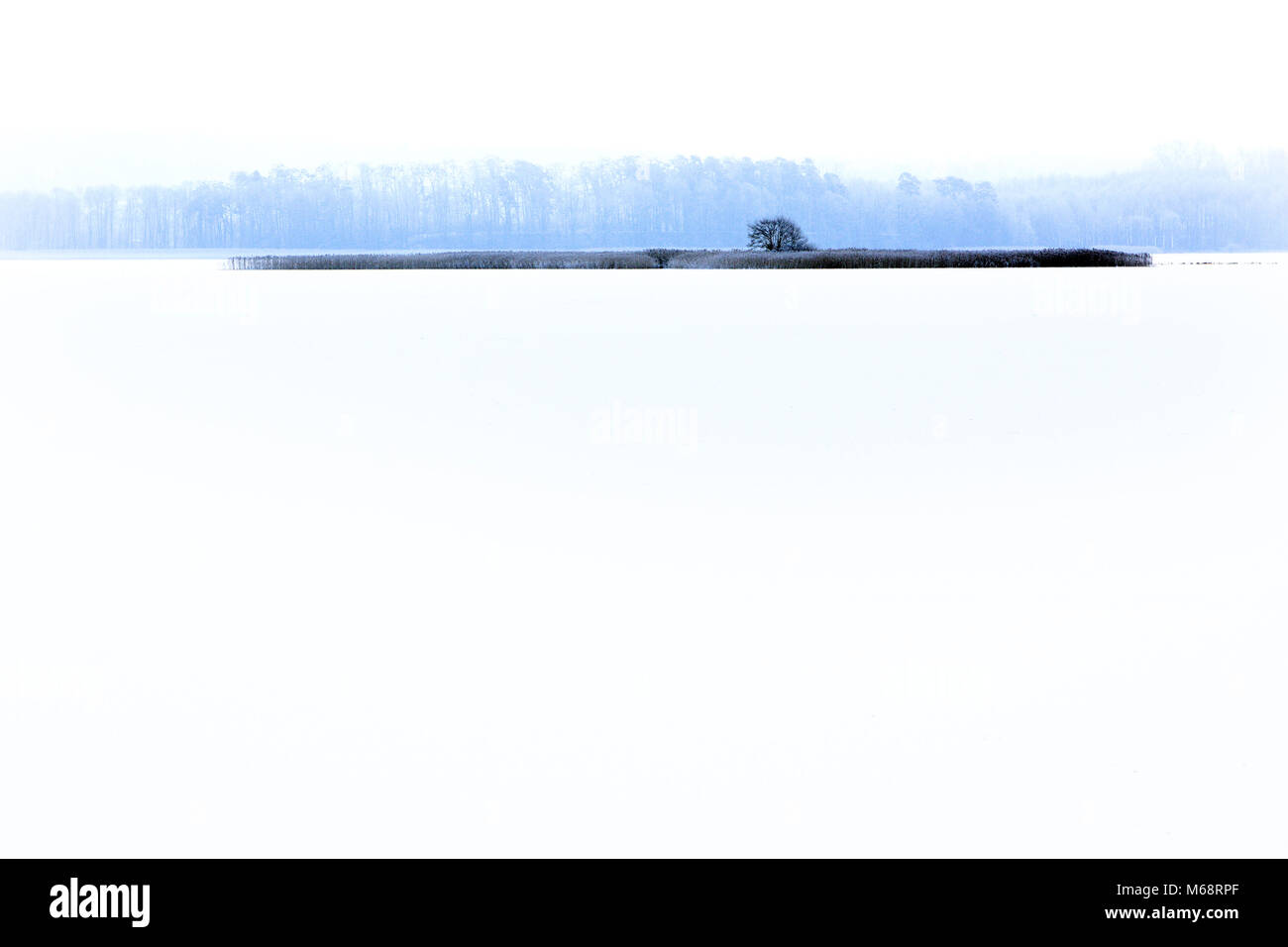 Paysage d'hiver avec surface de lac gelé et woods en Mazurie Lacs en Pologne - district du lac Lasmiady près de la ville d'Elk Banque D'Images
