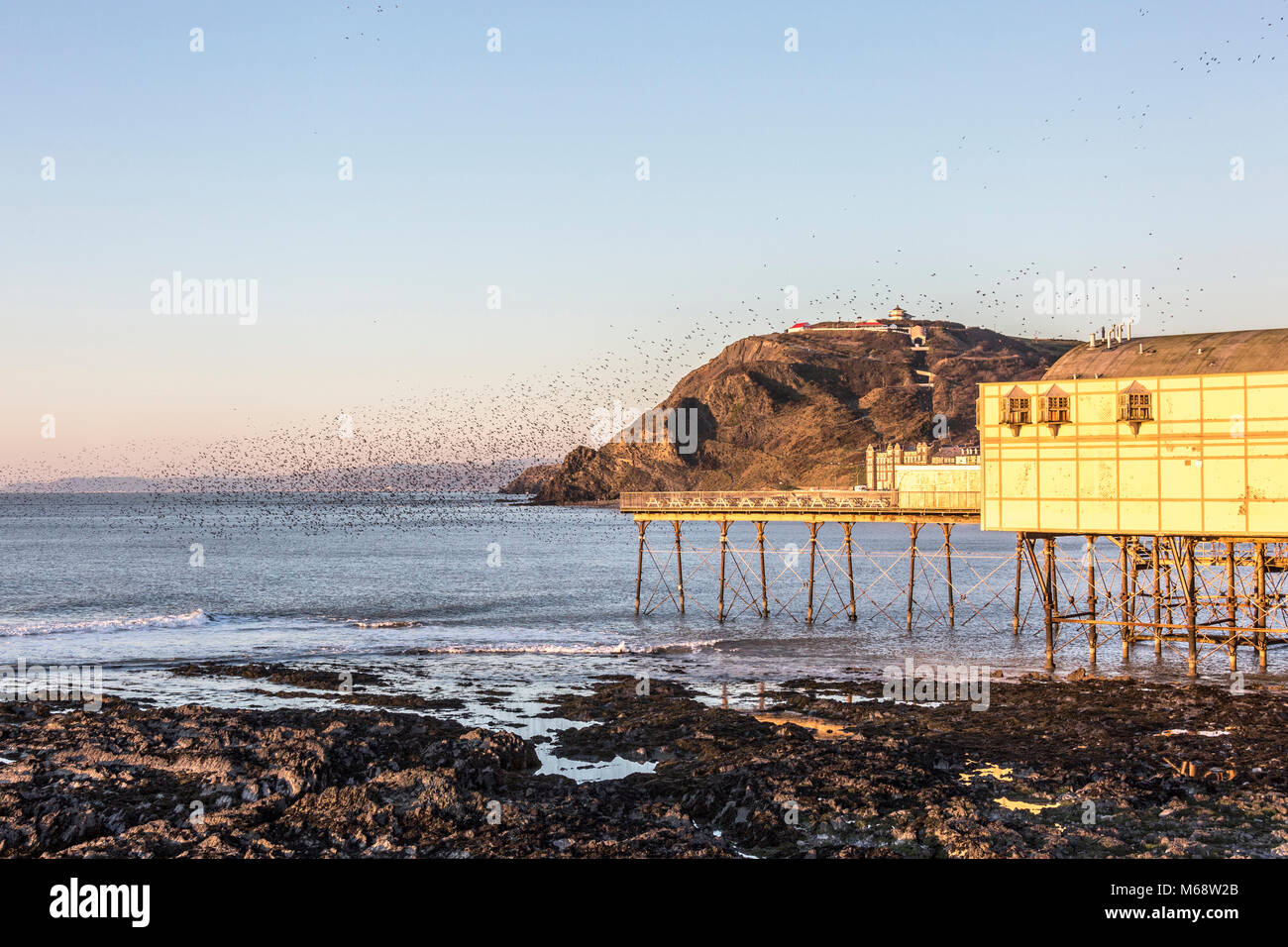 Starling murmurations à Aberystwyth Banque D'Images