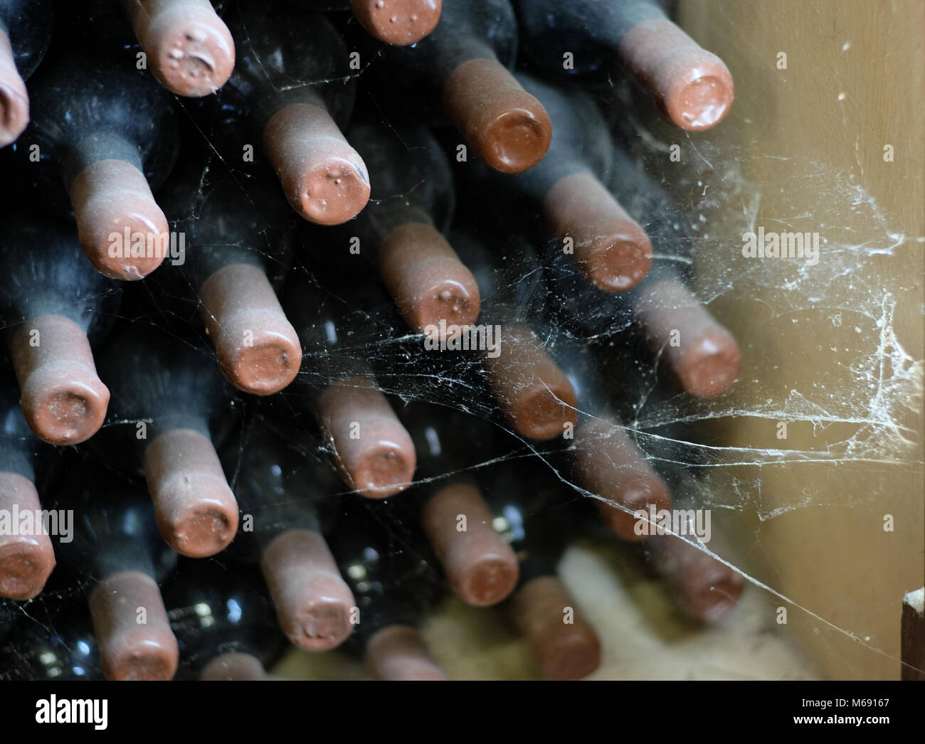 Vieux vin bouteilles en cave. Visible web Spyder. Ancienne cave à vin dans la République de Moldova. Banque D'Images