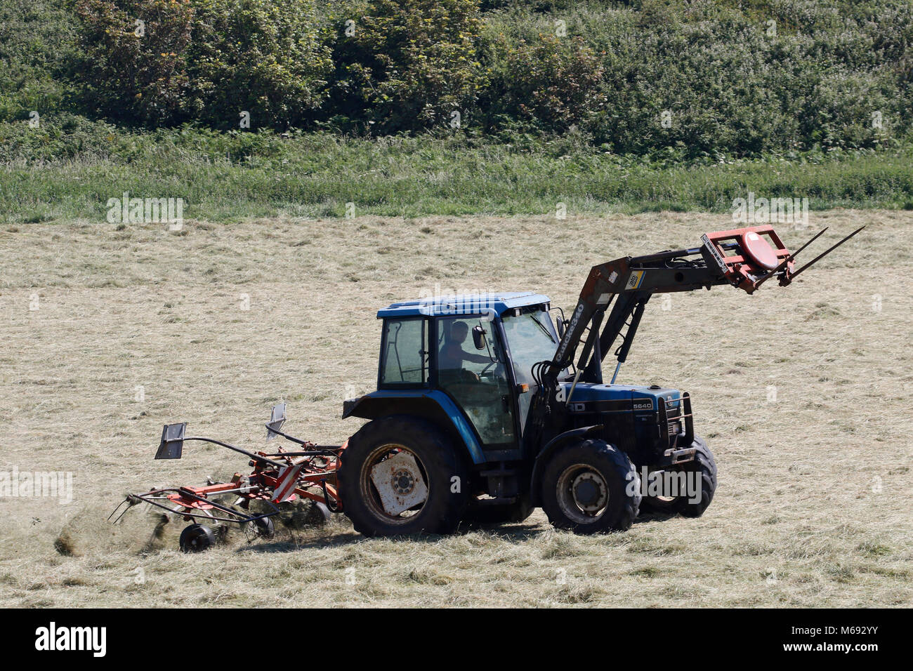 Swansea, Royaume-Uni. 6e juillet 2017. Un vieux tracteur Ford et du pilote pour sécher le foin tournant sur une chaude journée ensoleillée, la péninsule de Gower, Swansea. Credit : Gareth Llewelyn/ Banque D'Images