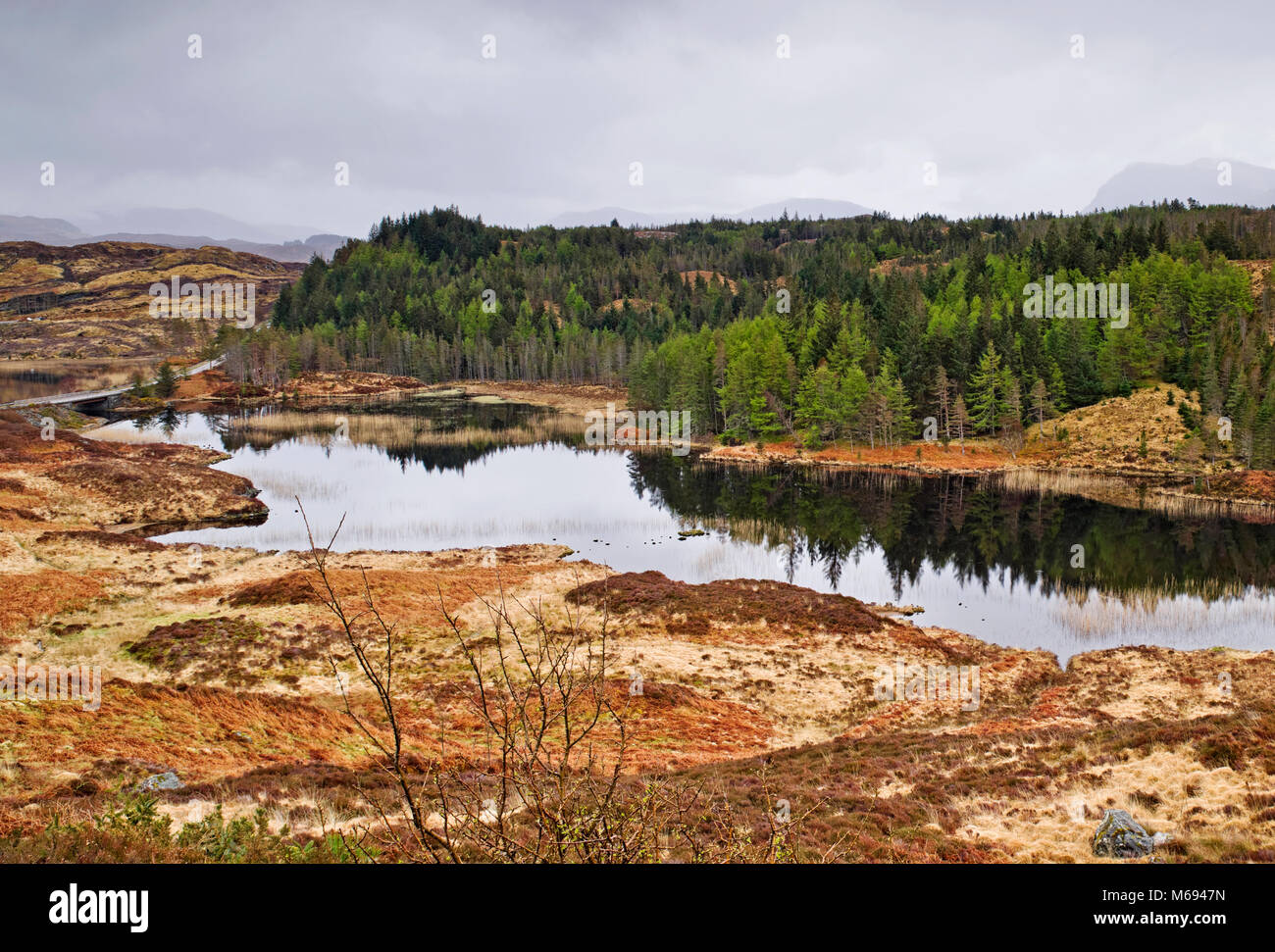 500 route de la côte nord :- un pont routier894 (sur la gauche) sur le Loch Duartmore, Sutherland, les Highlands écossais, Quinag tout juste visible au-dessus de la forêt sur la droite. Banque D'Images