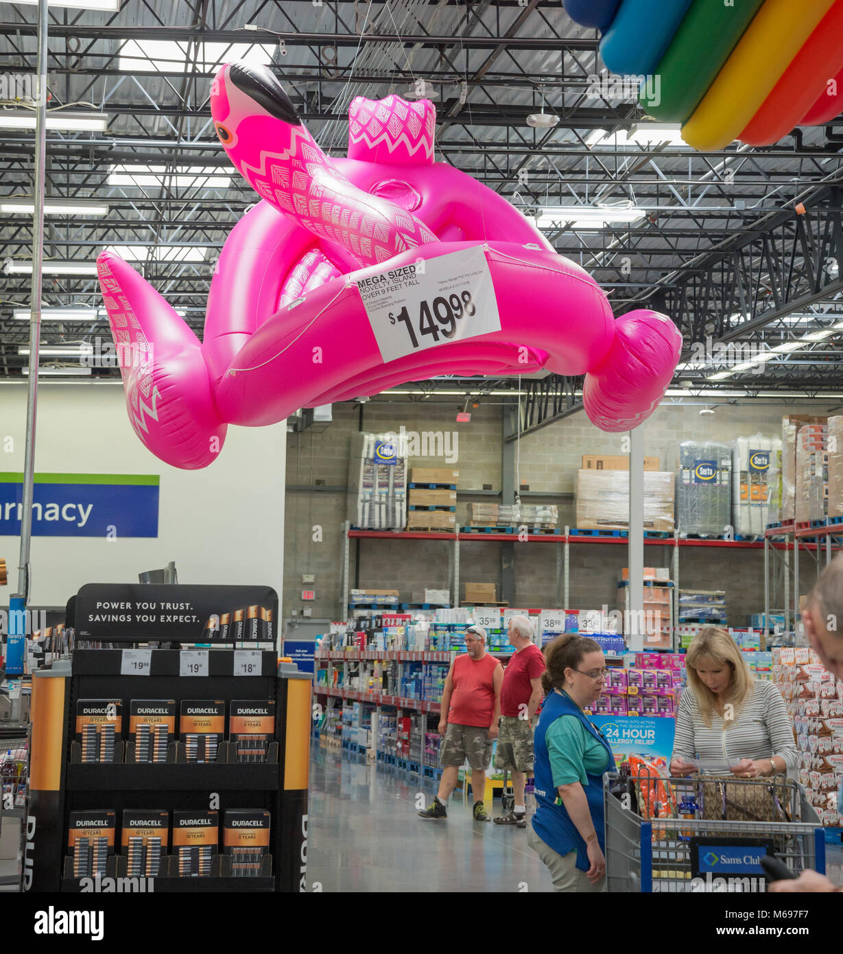 Flamingo en plastique gonflable géant flottant suspendu du plafond d'un Sam's Club de Gainesville, Floride, en prévision de l'été. Banque D'Images