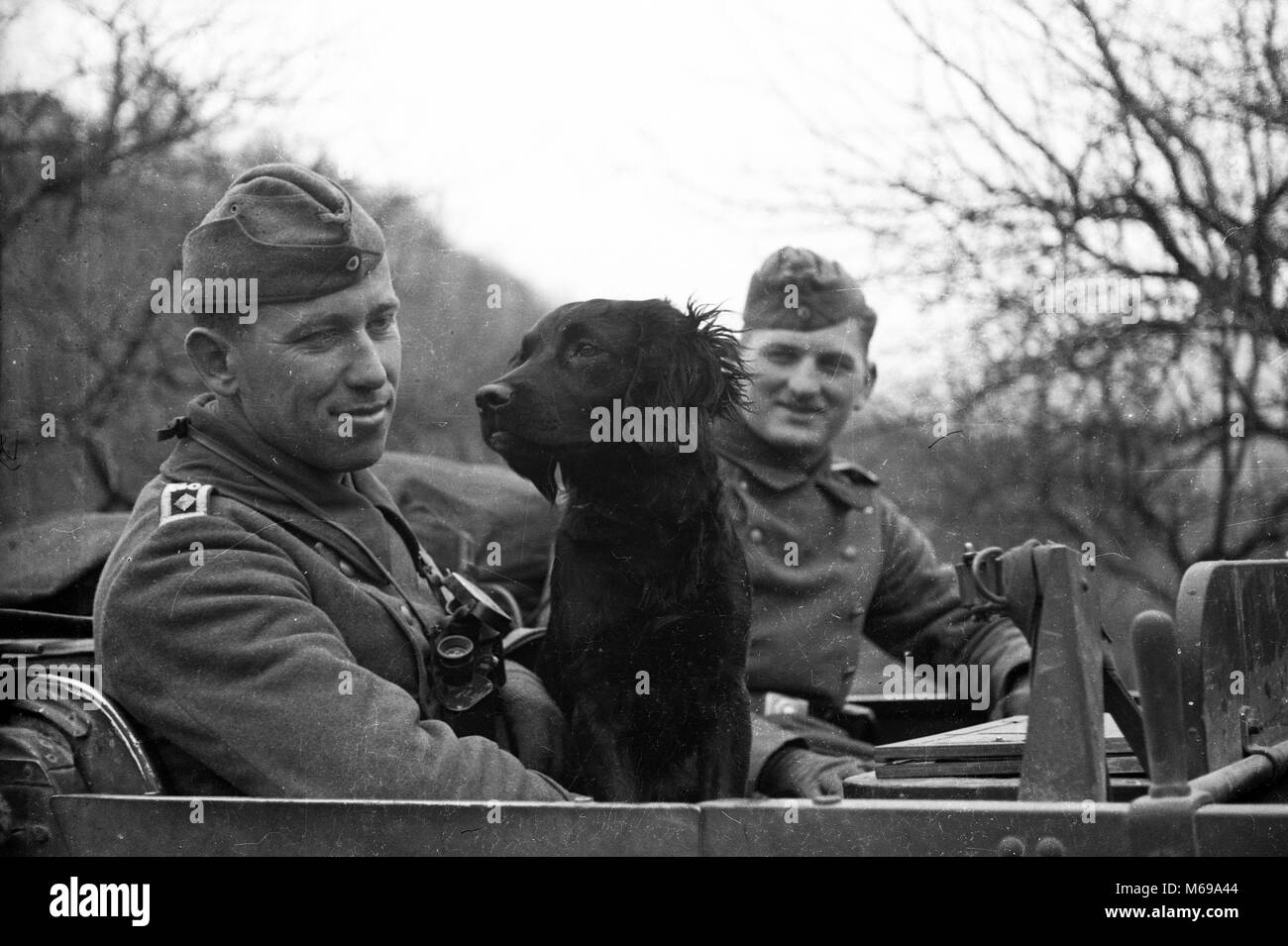 WW2 Soldats de l'armée allemande en véhicule avec chien en avril 1941 lors de l'invasion de la Yougoslavie Banque D'Images