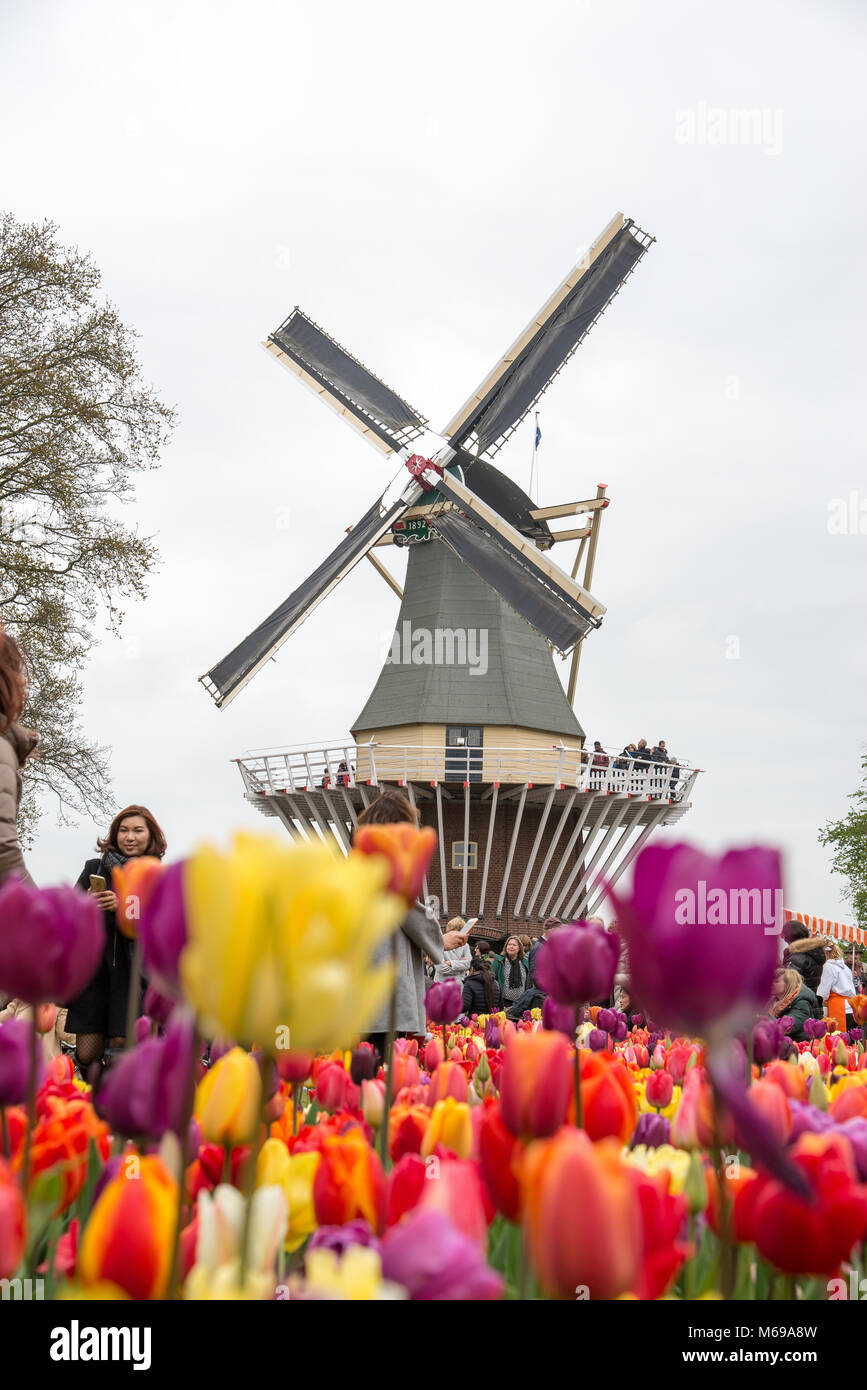 Amsterdam, Pays-Bas - 21 Avril 2017 : Ancien moulin avec beaucoup de gens dans le célèbre jardin de Keukenhof. Banque D'Images