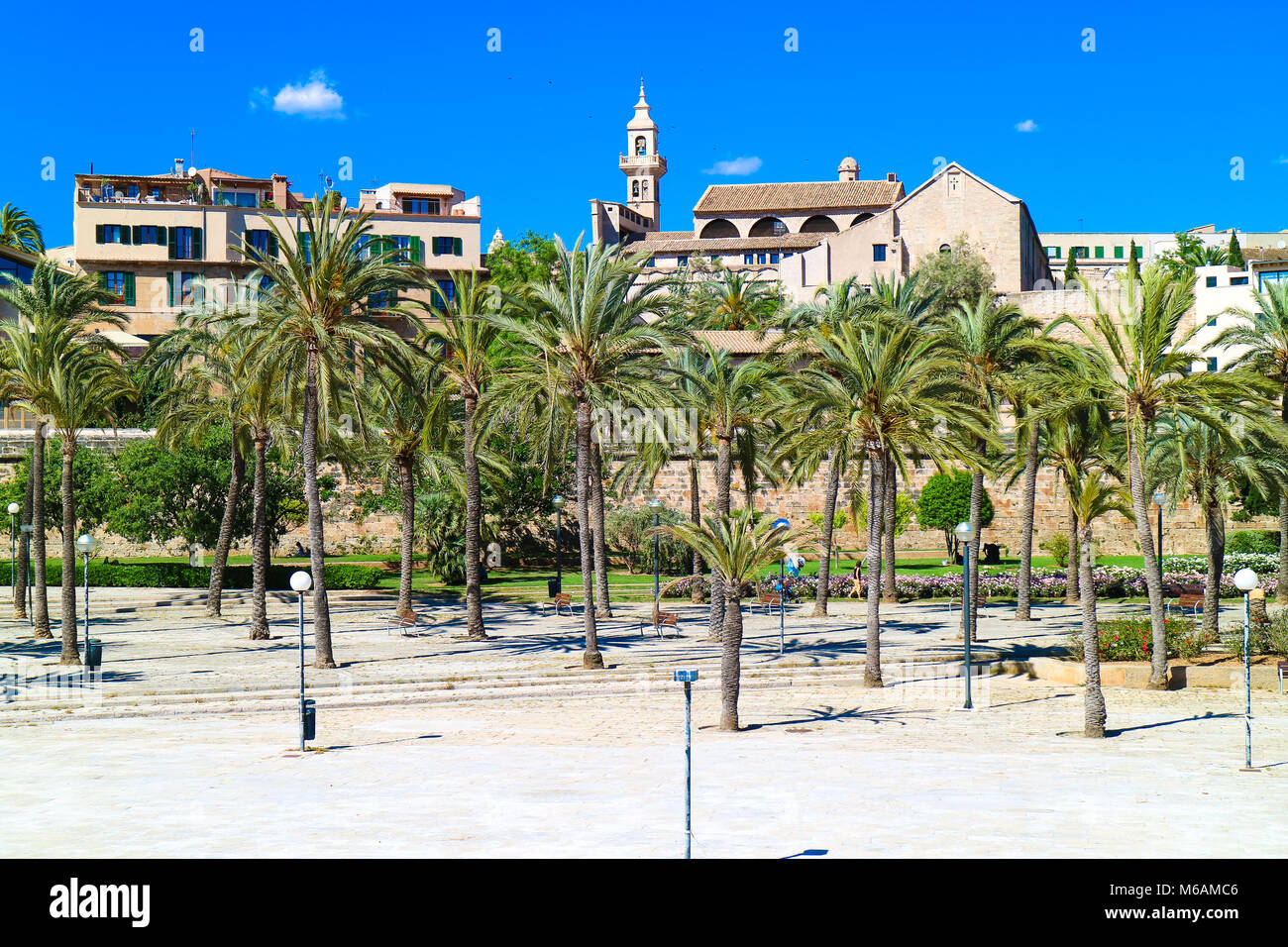 Palma de Mallorca, Espagne. Central Park avec des palmiers dans l'été Banque D'Images