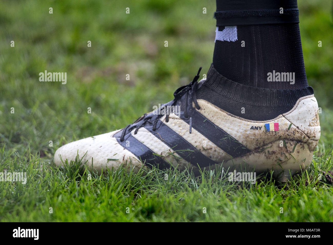 Watford Costel Pantilimon gardien adidas chaussure de football  personnalisés AFFICHER TOUT & le drapeau roumain au cours de la FA Cup  quatrième ronde match entre Photo Stock - Alamy