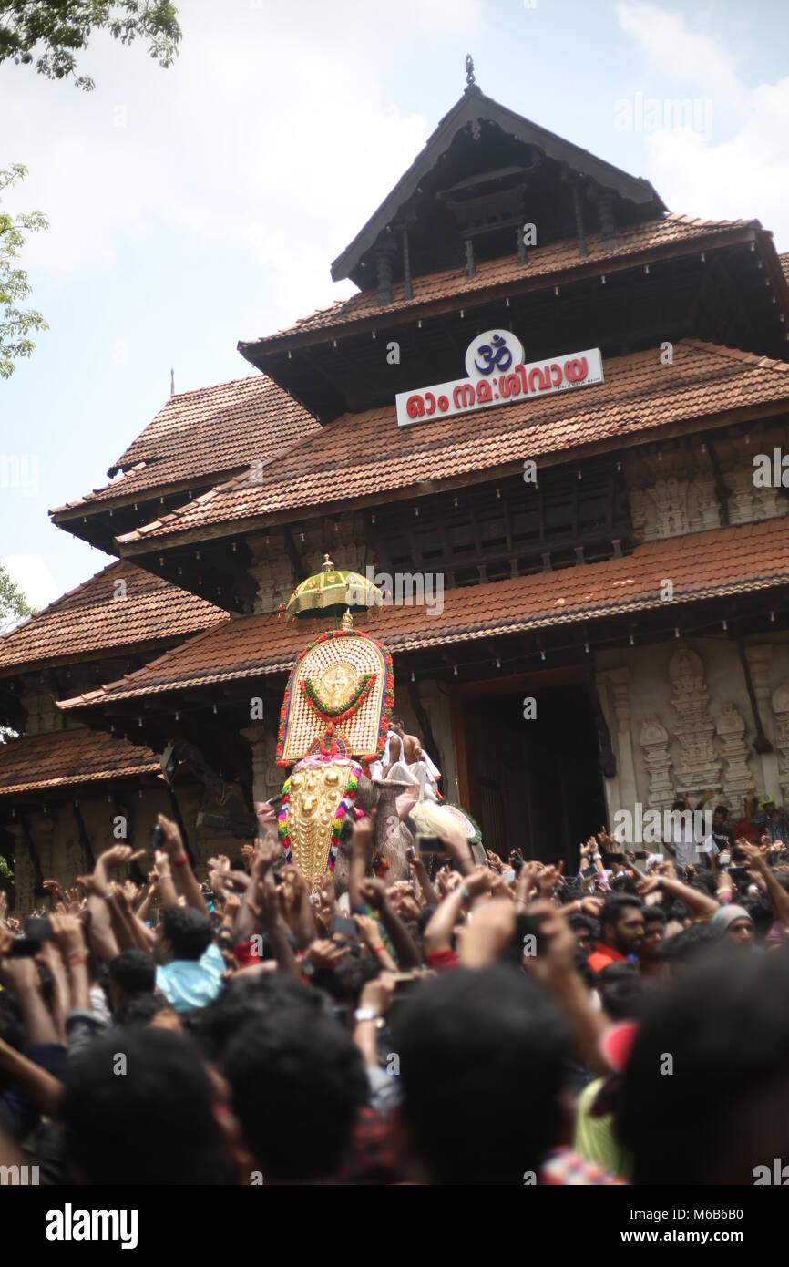 Pooram thrissur, Kerala festivals Banque D'Images