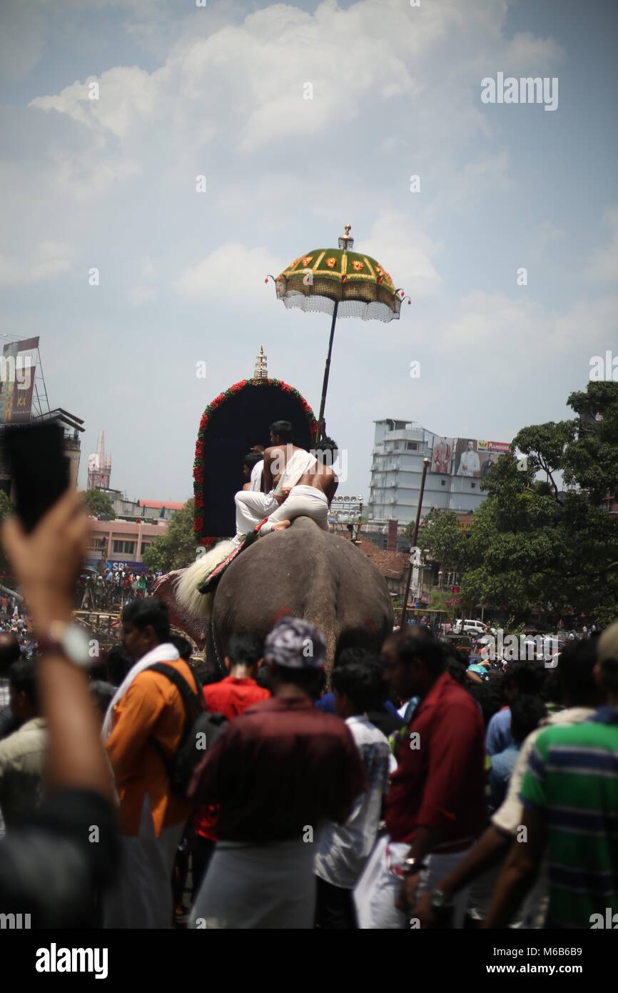 Pooram thrissur, Kerala festivals Banque D'Images