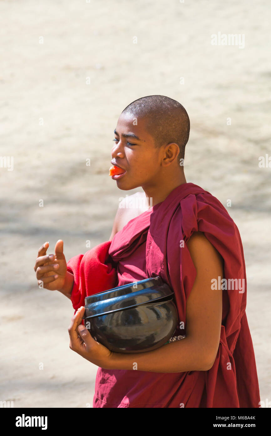 Un moine bouddhiste débutant portant un bol d'almes mangeant un morceau de melon d'eau par la Pagode Shwezigon, Nyaung U, Bagan, Myanmar (Birmanie), Asie en février Banque D'Images