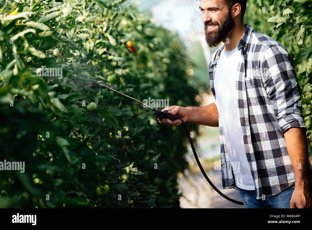 Jeune agriculteur protéger ses plantes avec des produits chimiques Banque D'Images