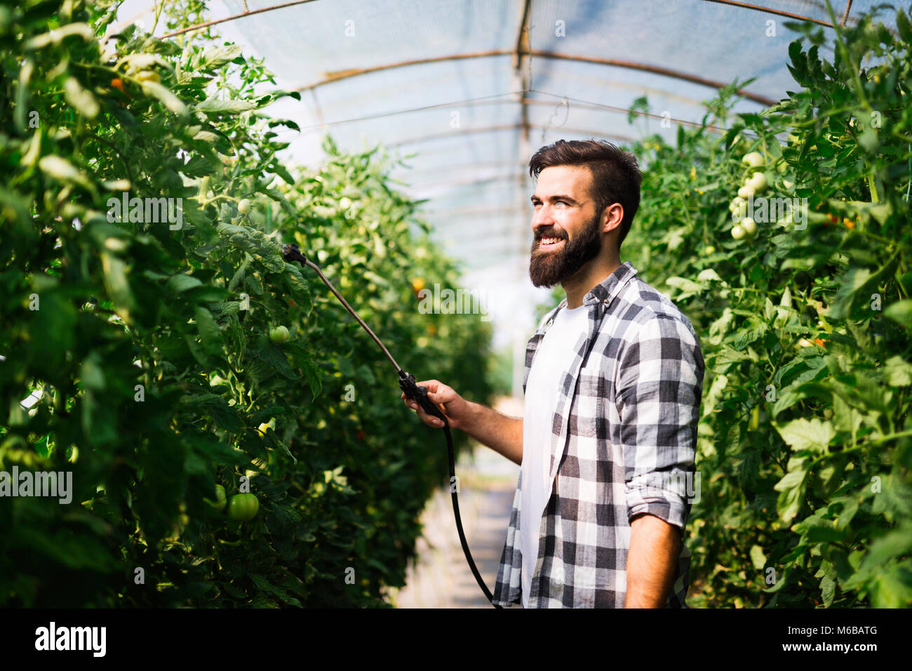 Jeune agriculteur protéger ses plantes avec des produits chimiques Banque D'Images