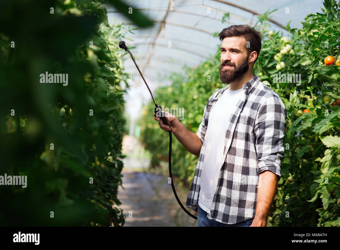 Jeune agriculteur protéger ses plantes avec des produits chimiques Banque D'Images