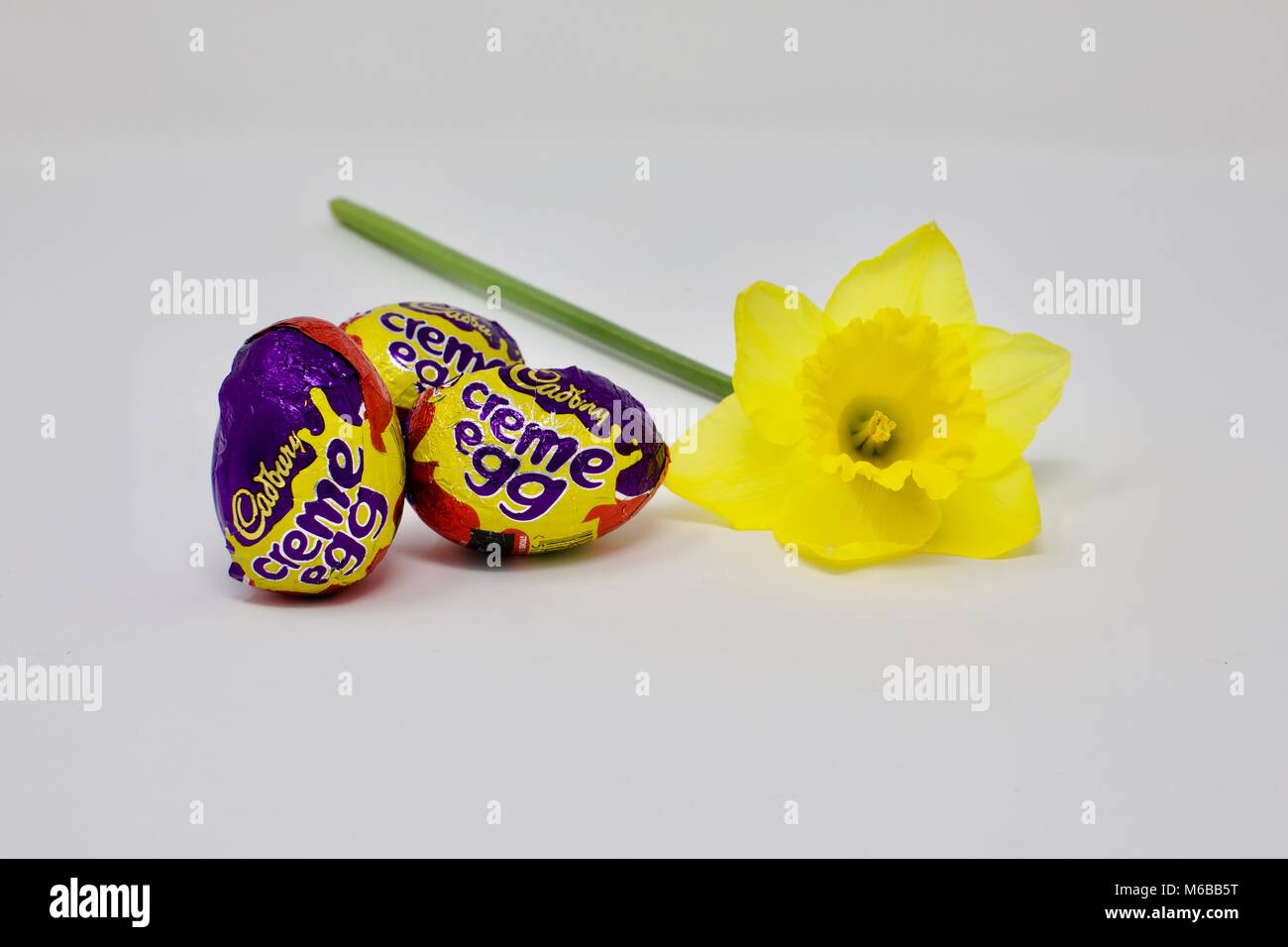 Cadburys Creme Oeufs et une jonquille (Narcissus poeticus) les symboles de Pâques sur un fond blanc Banque D'Images