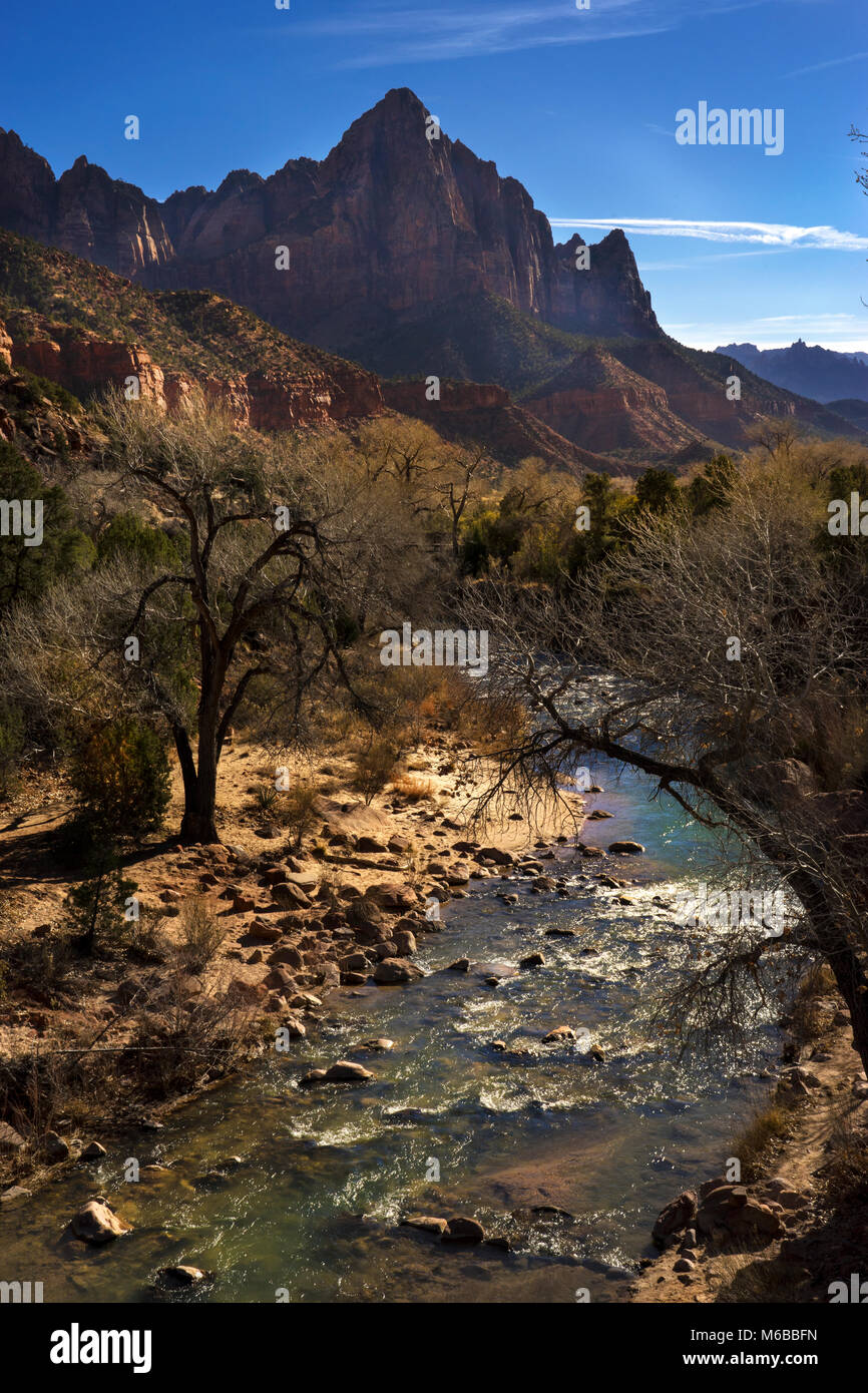 Virgin River North Fork,la sentinelle à la montagne Zion National Park, Utah, USA,Springdale Banque D'Images