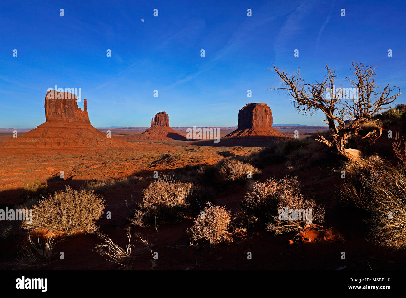 Monument Valley, Utah, United States of America Banque D'Images