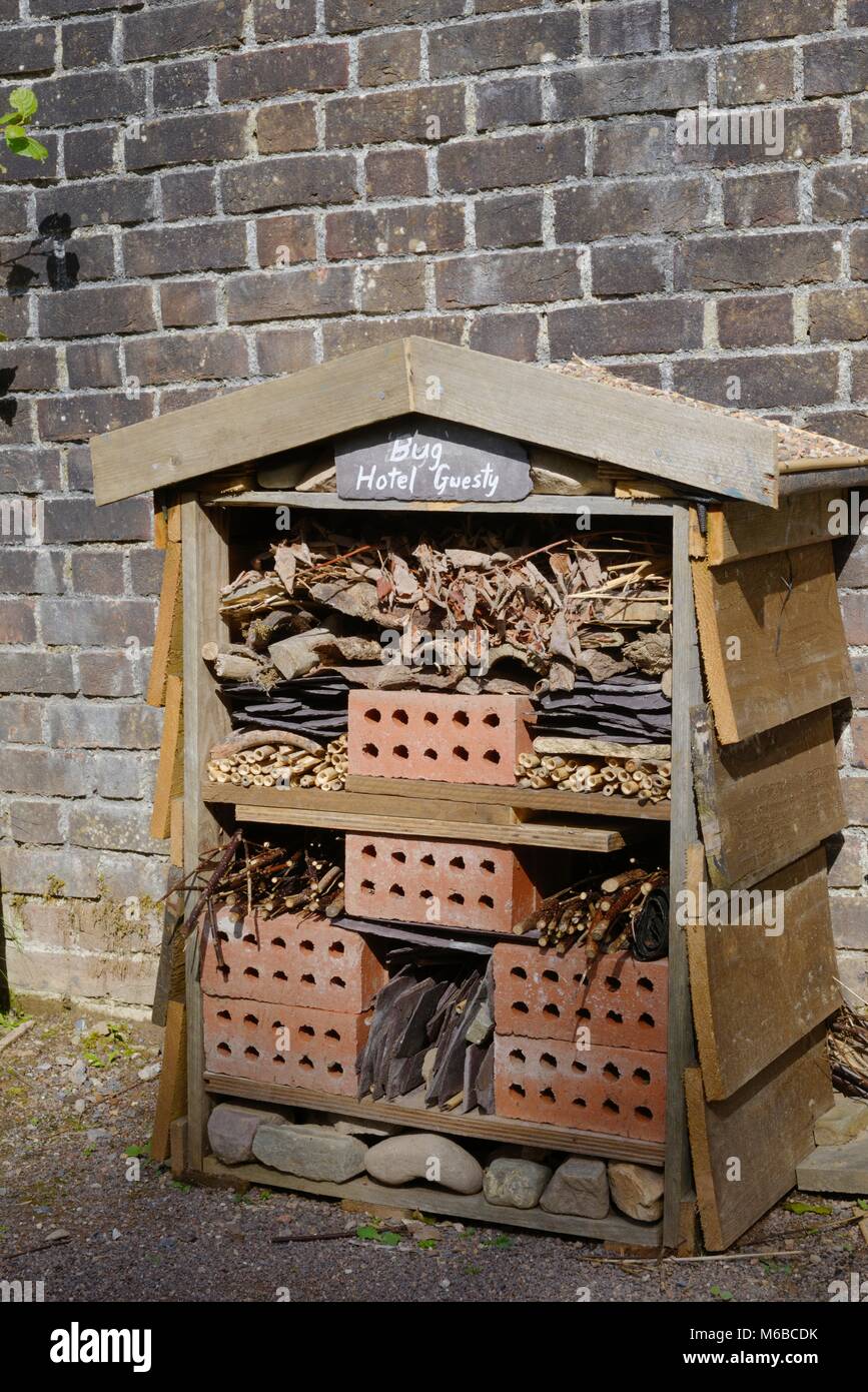 Insect hotel with bricks Banque de photographies et d’images à haute ...