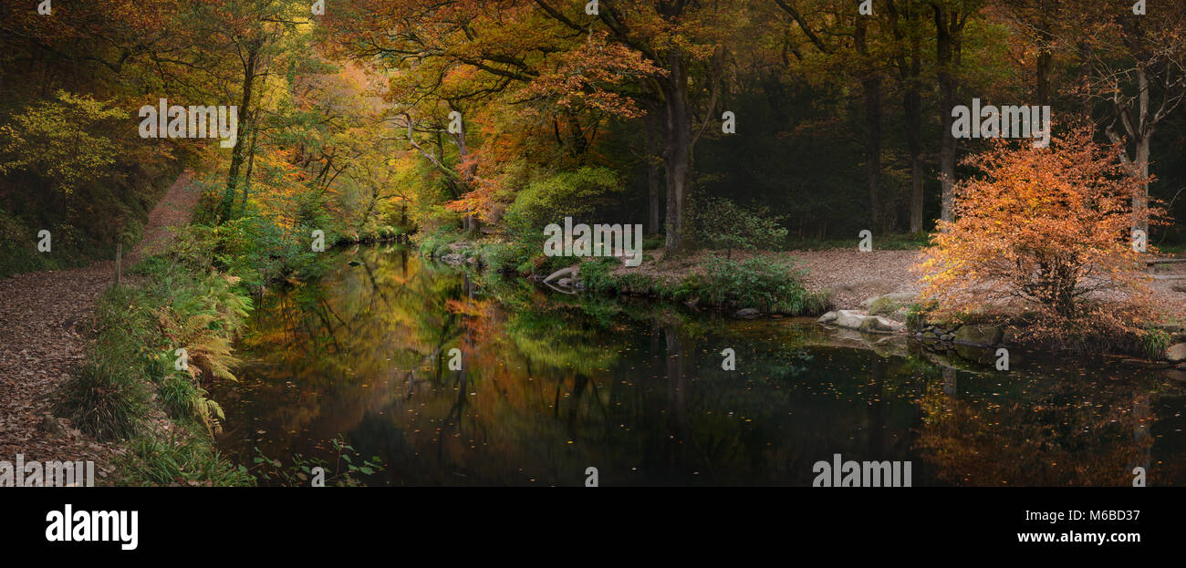 L'automne à River Teign Fingle Bridge Teign Gorge Drewsteignton Banque D'Images