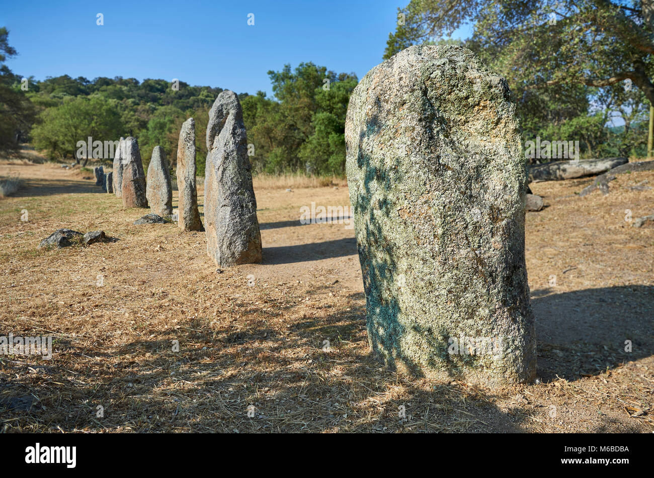 Photos et images de l'âge du Cuivre préhistoriques anthropomorphes proto standing stone statue Menhirs dans la Biru 'e archaeolological Localita Golfo di site, Sorgono, Banque D'Images