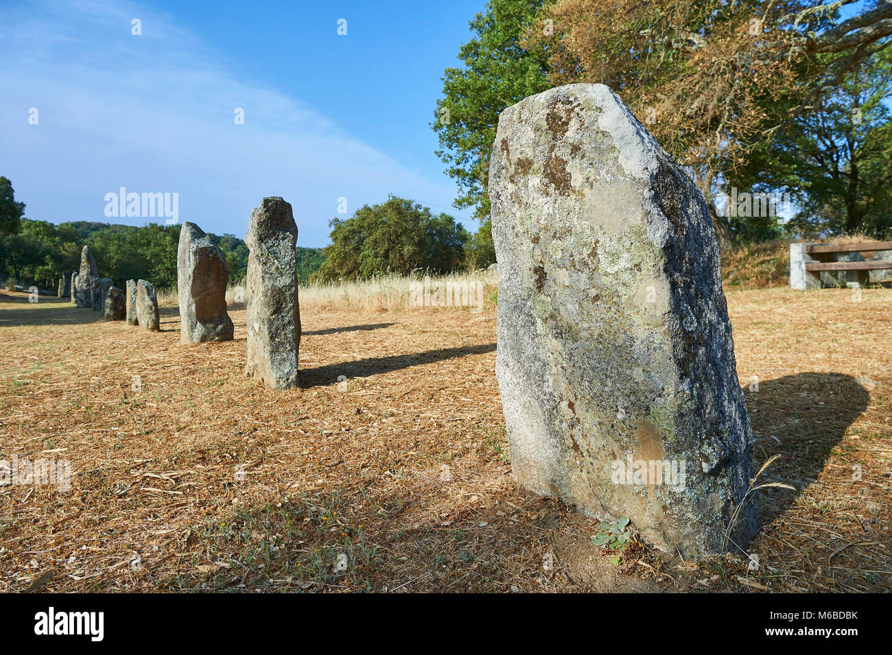 Photos et images de l'âge du Cuivre préhistoriques anthropomorphes proto standing stone statue Menhirs dans la Biru 'e archaeolological Localita Golfo di site, Sorgono, Banque D'Images