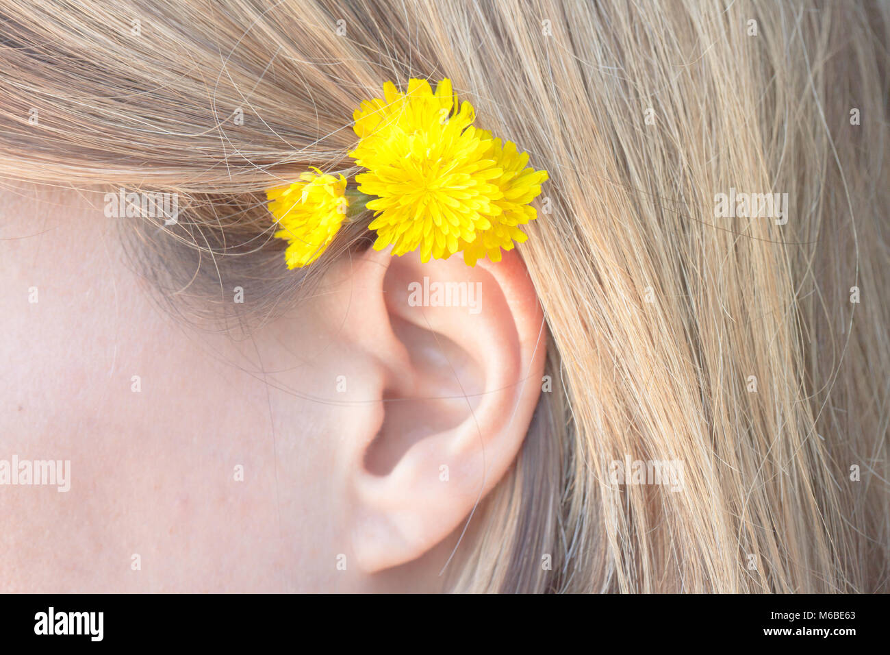 L'oreille humaine femelle de près, aux cheveux blonds et aux fleurs jaune Banque D'Images