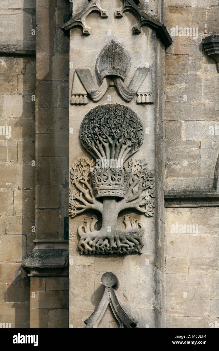 Une sculpture sur l'ouest avant de l'abbaye de Bath, Bath. La sculpture représente un rébus illustrant le nom de l'Évêque Oliver King. Banque D'Images