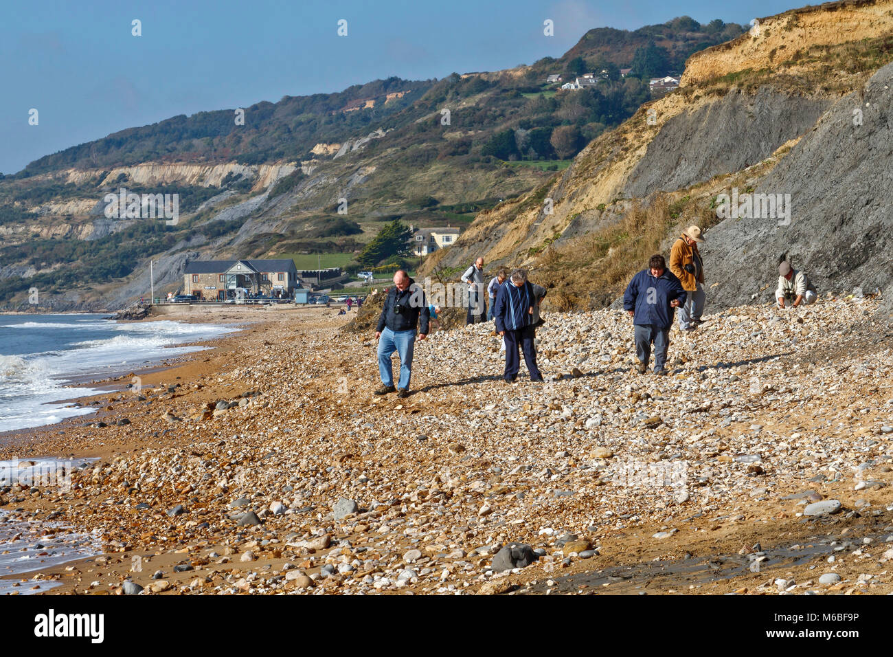Chasse aux fossiles sur la plage de Charmouth. La Côte Jurassique est un site du patrimoine mondial sur la manche de la côte sud de l'Angleterre. Banque D'Images