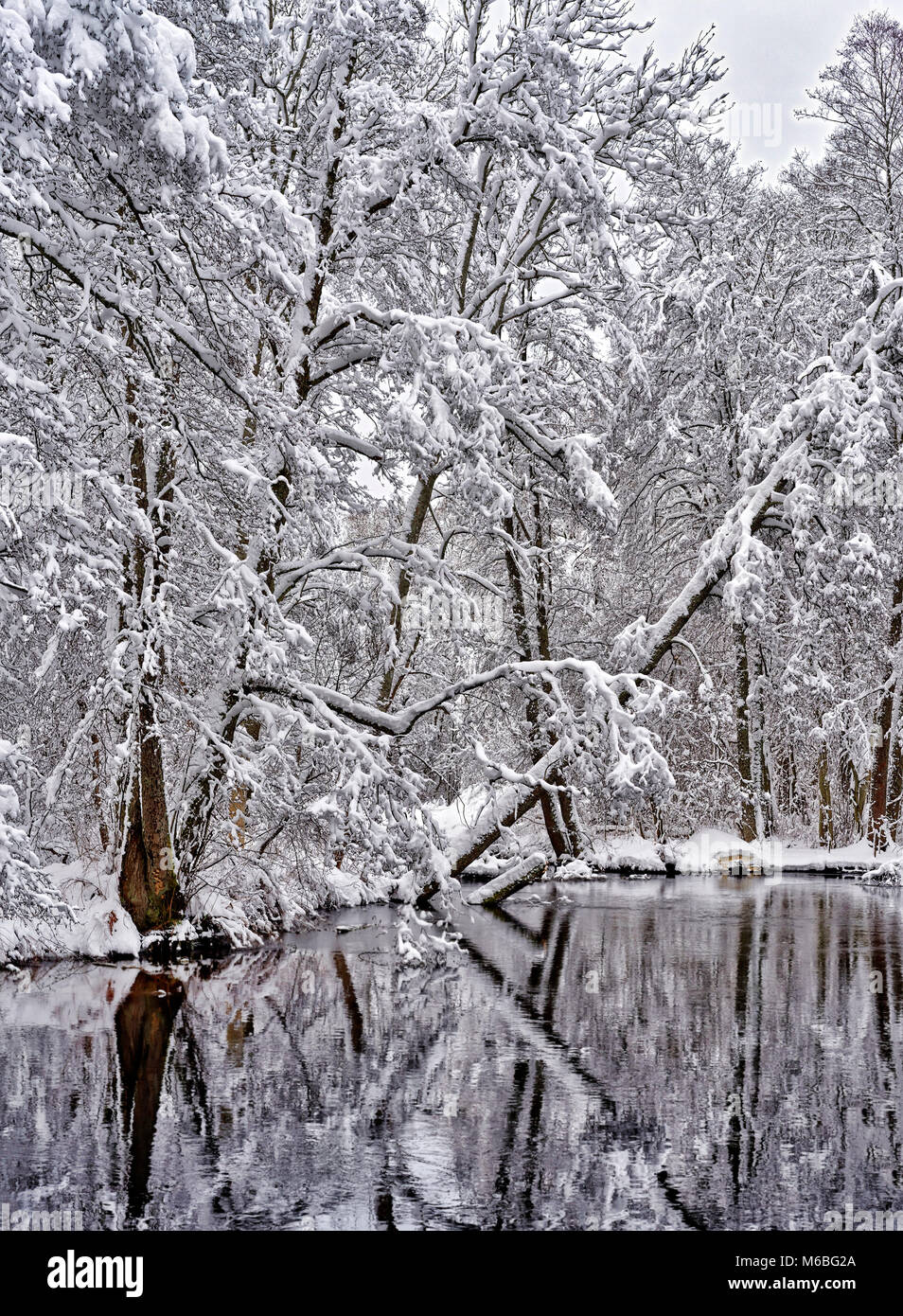 Un jour d'hiver paisible avec arbres se reflétant dans l'eau Banque D'Images