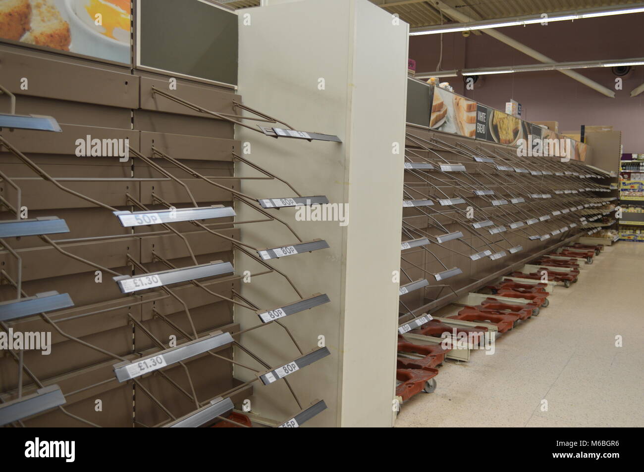 Étagères vides dans Tesco sur un jour de neige - achat de panique Banque D'Images