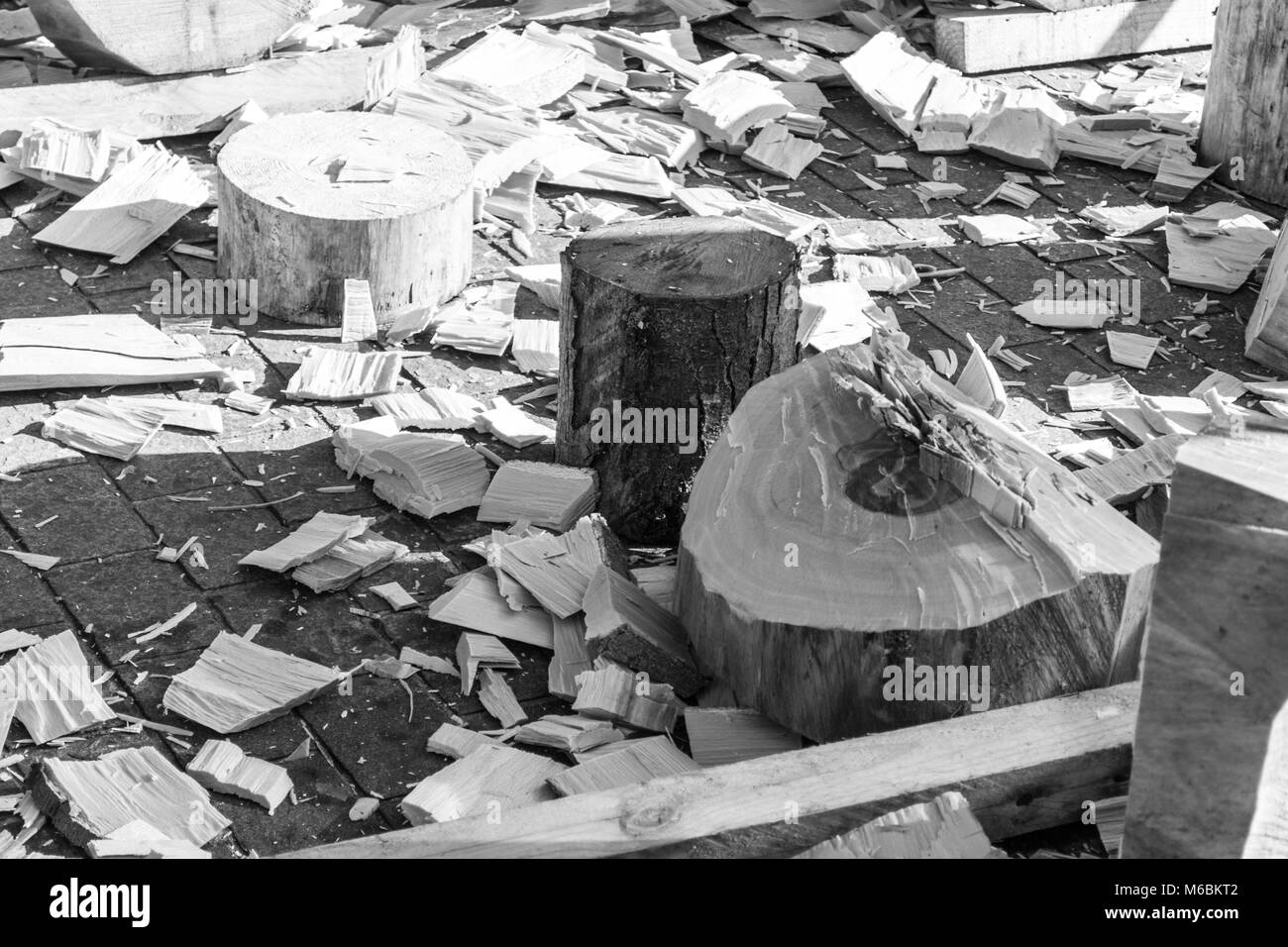 Couper le tronc de hêtre après St Thomas wood chopping concurrence dans Bilbao Banque D'Images