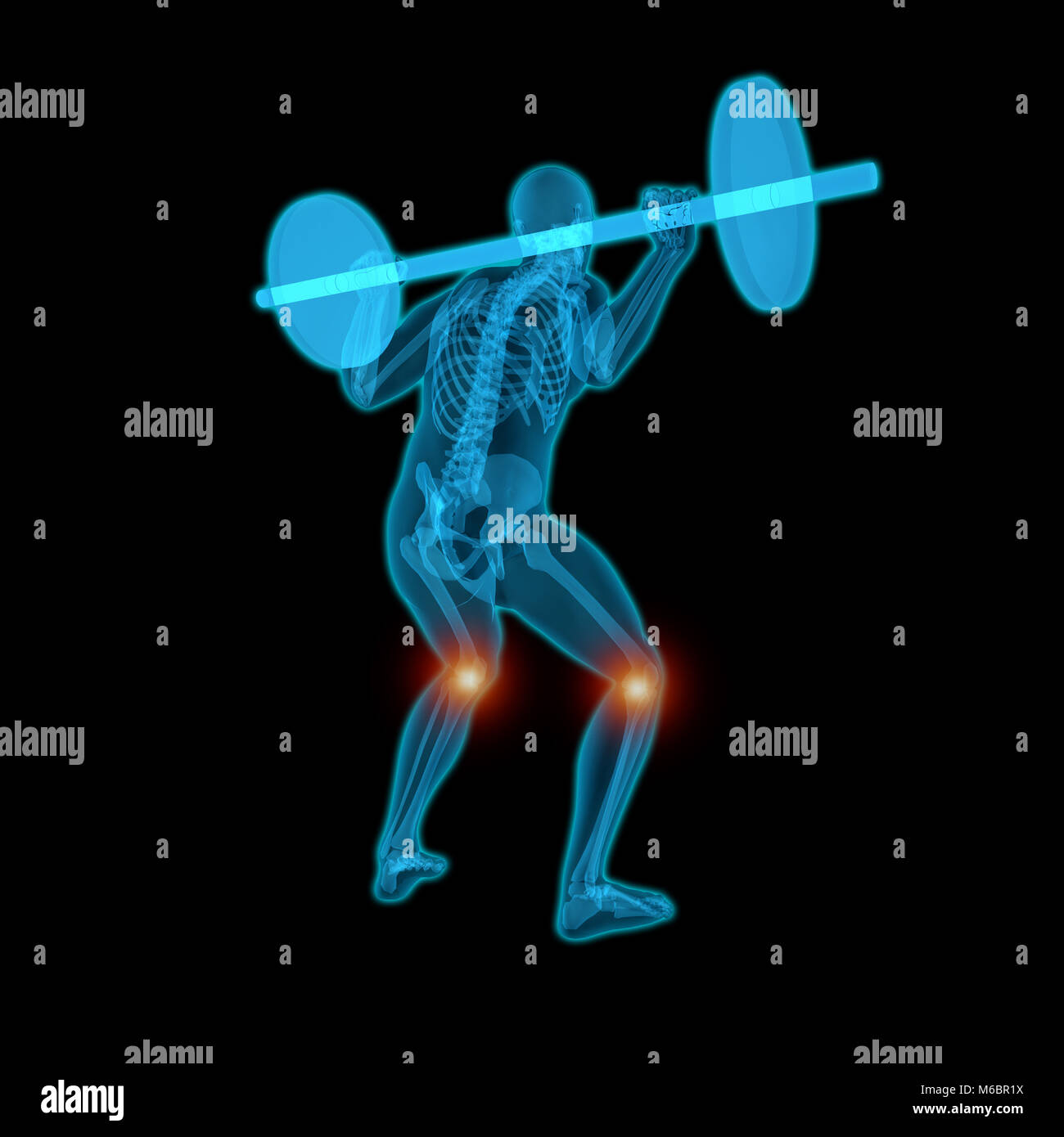 Très détaillé et précis sur le plan médical 3D Illustration d'un homme translucide doing a back squat Banque D'Images