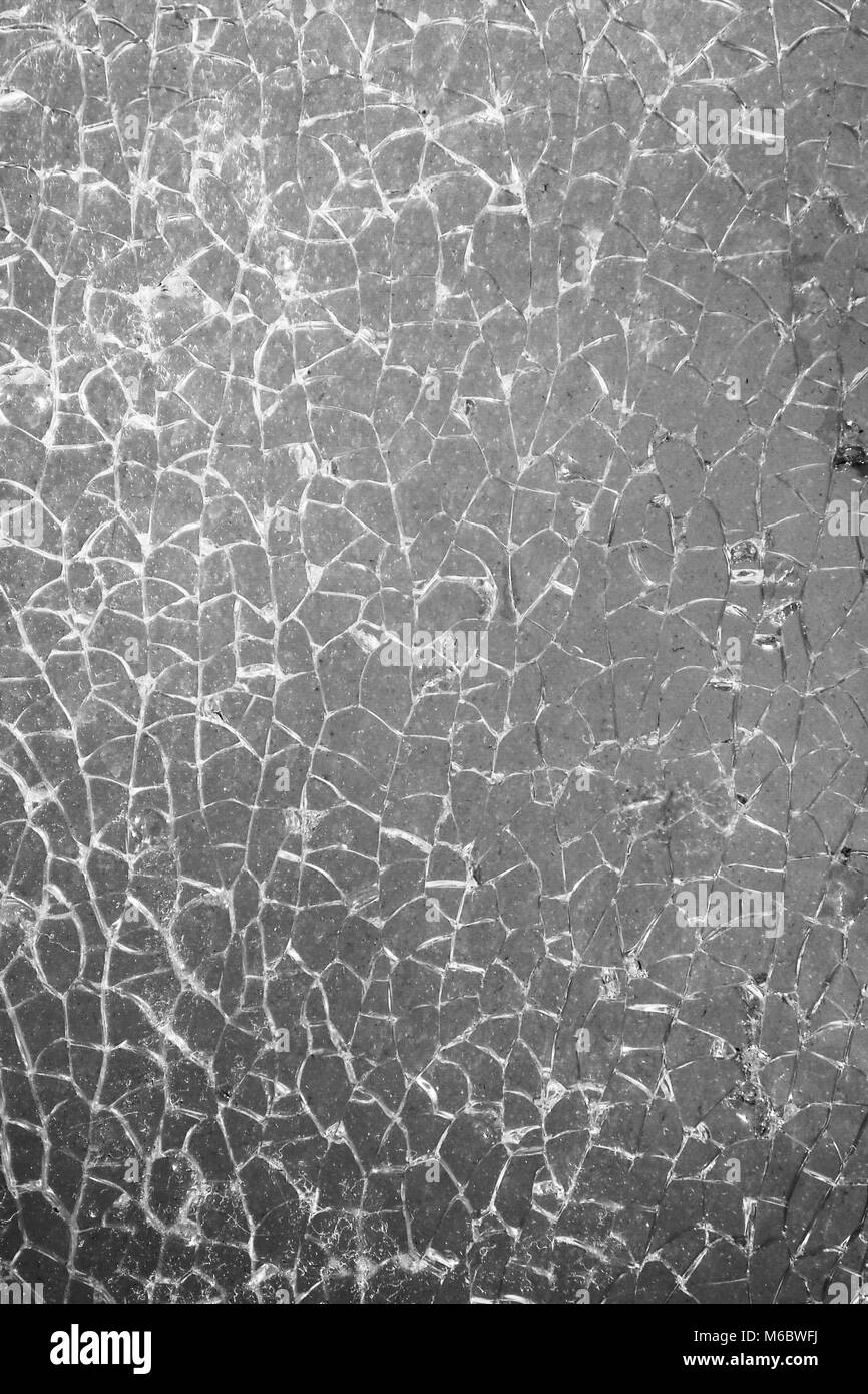 Vitre brisée en noir et blanc, couvertes de petites fissures. La fibre de verre qui est complètement anéanti, fissuration, résumé naturellement les puces. Banque D'Images