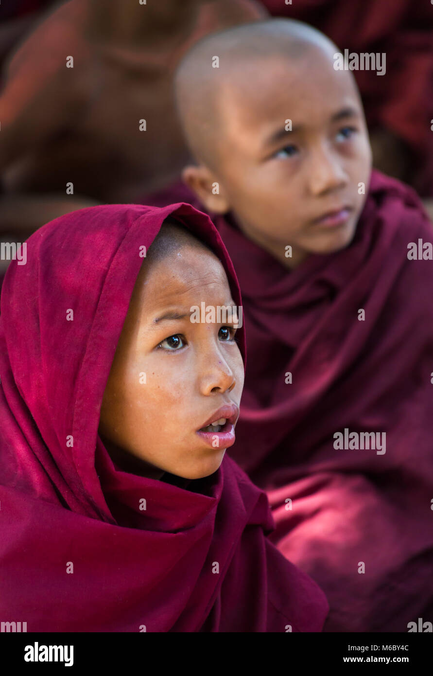 De jeunes moines bouddhistes débutants sont confrontés devant la télévision à l'école monastique d'éducation libre Aung Myae Oo, Sagaing, Mandalay, Myanmar (Birmanie), Asie en février Banque D'Images