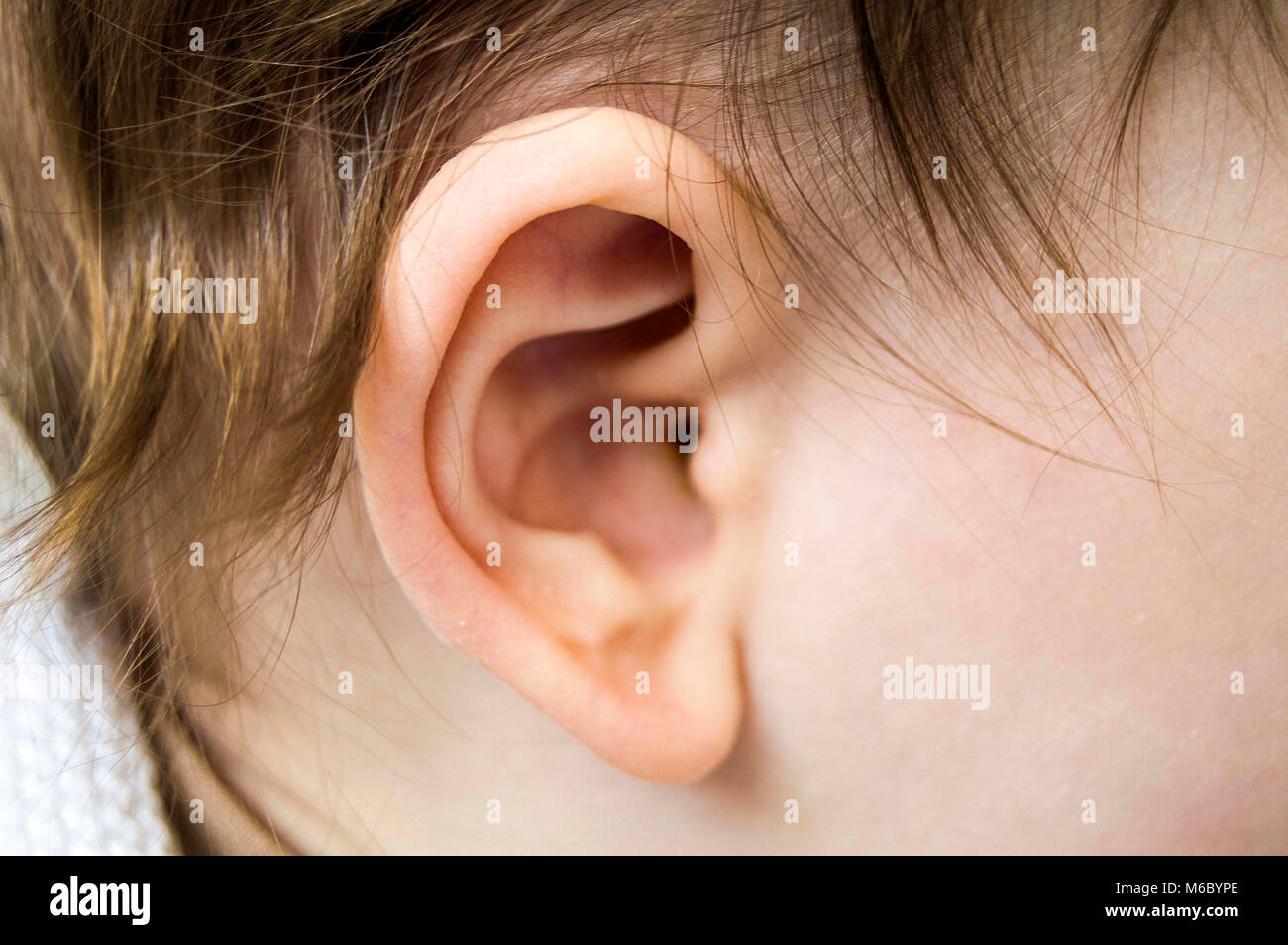 L Oreille De Bebe Et Des Crottes De L Oreille Nettoyage Des Oreilles Est Important Chez Les Nourrissons Infections De L Oreille La Douleur Et L Inflammation De L Oreille Chez Les Nourrissons Photo Stock Alamy L Oreille De Bebe Et Des Crottes De L Oreille Nettoyage Des Oreilles Est Important Chez Les Nourrissons Infections De L Oreille La Douleur Et L Inflammation De L Oreille Chez Les Nourrissons Photo Stock Alamy