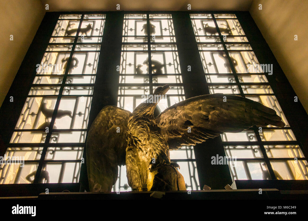 Eagle au Brooklyn Public Library NYC Banque D'Images