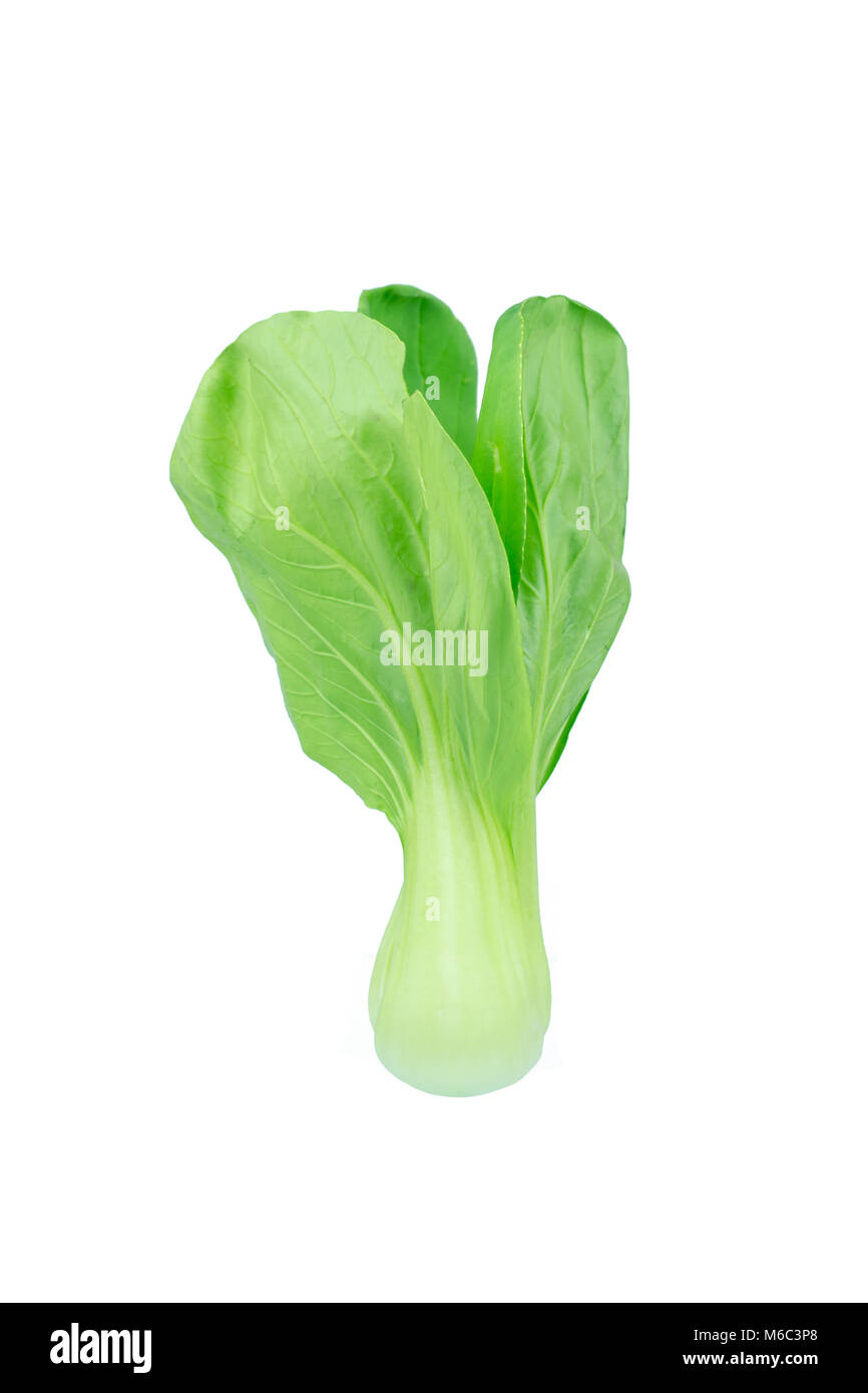 Le Bok choy (chou chinois) isolated on white Banque D'Images