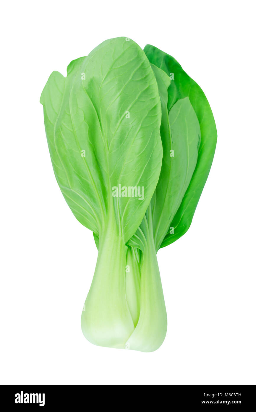 Le Bok choy (chou chinois) isolated on white Banque D'Images