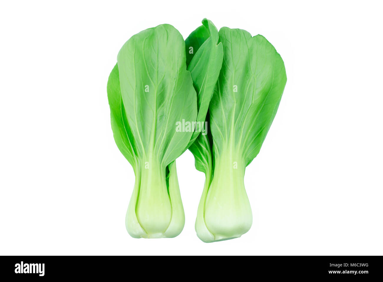 Le Bok choy (chou chinois) isolated on white Banque D'Images