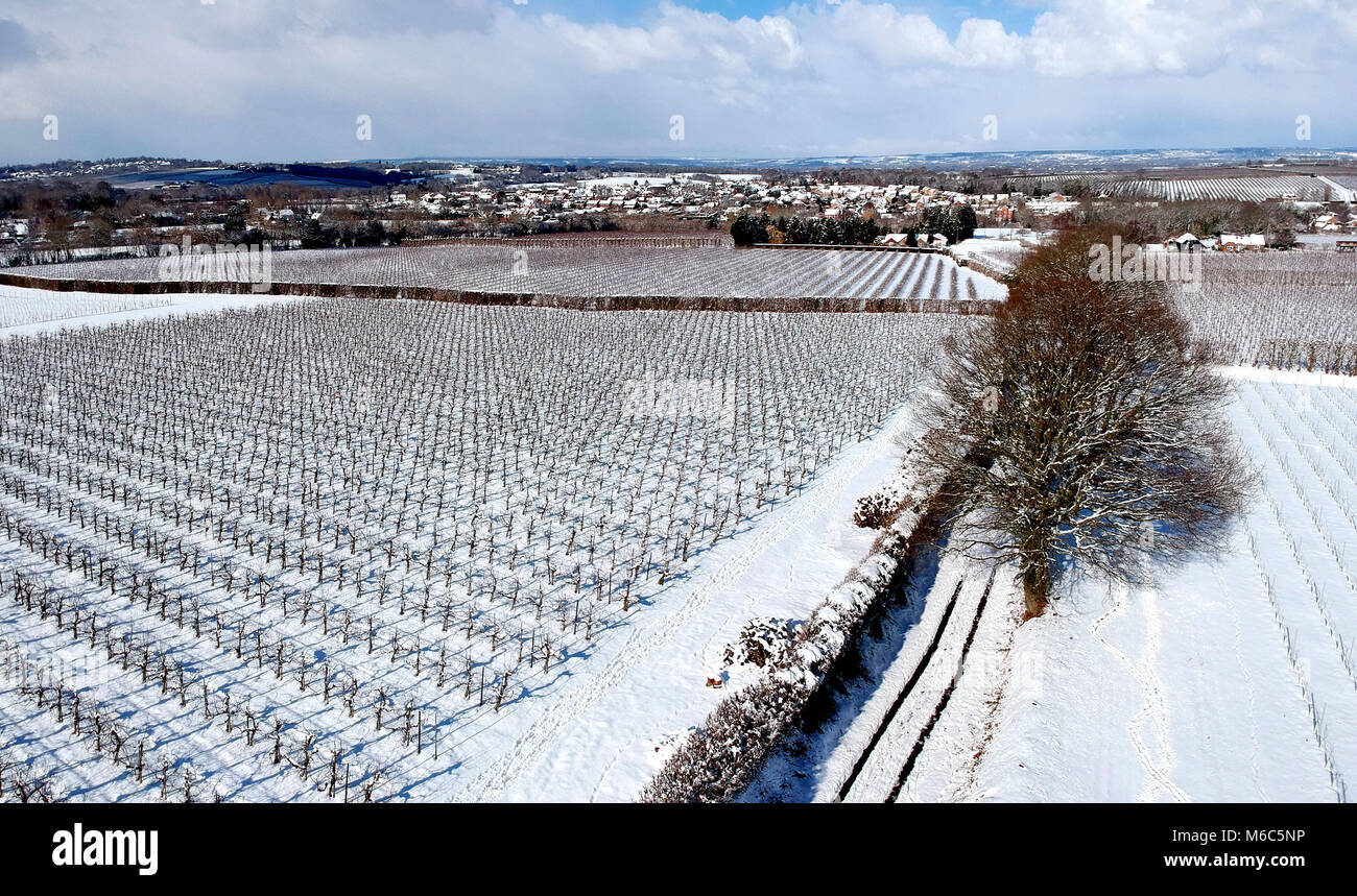 Une vue aérienne de la neige a couvert les vergers Kent Banque D'Images