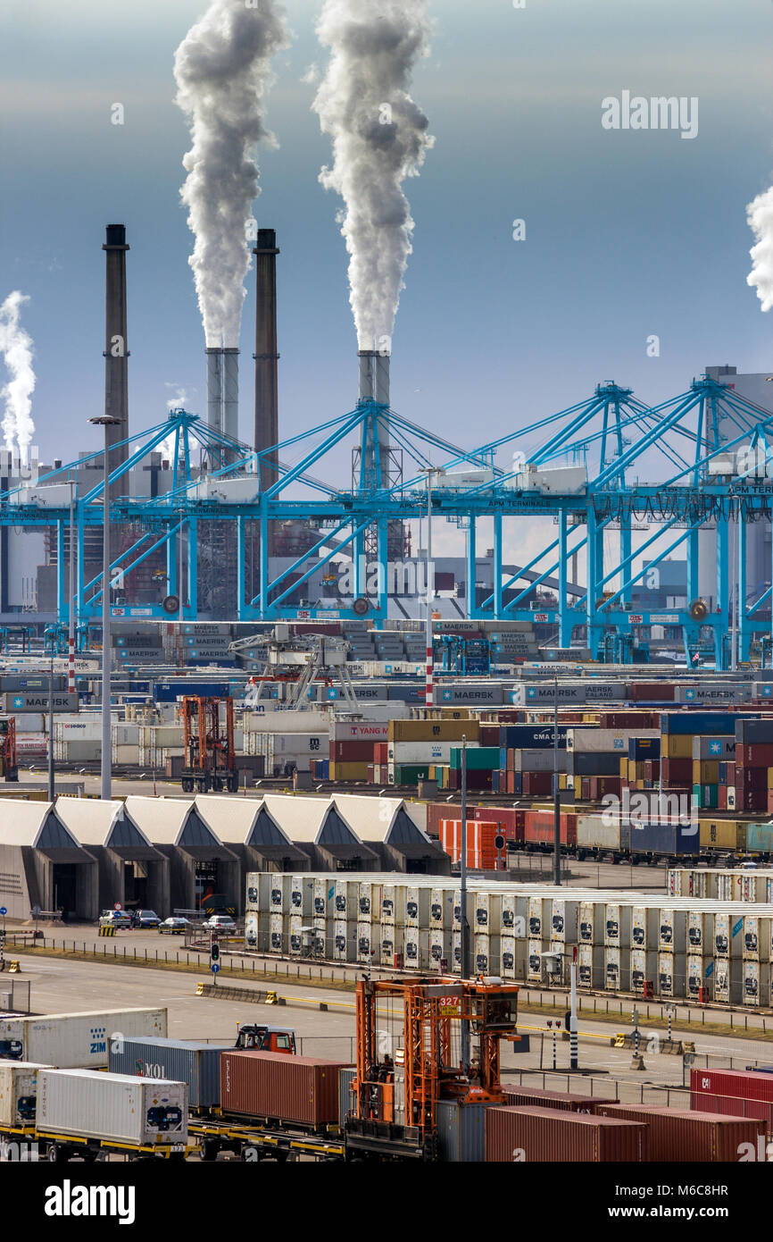 ROTTERDAM, Pays-Bas - SEP 8, 2013 : terminal à conteneurs d'expédition, des grues et des émissions des stations d'alimentation dans le port de Rotterdam. Banque D'Images