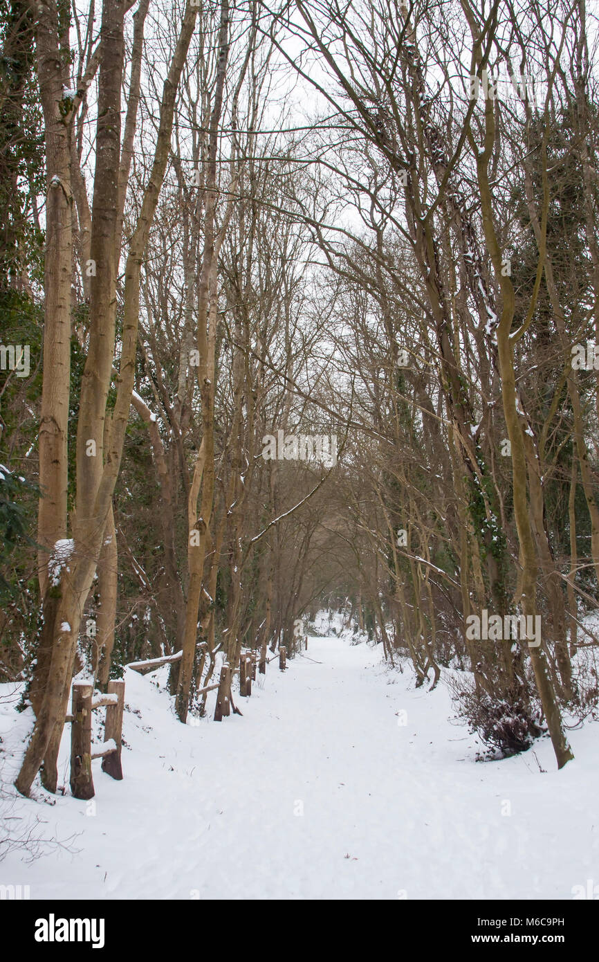 Snow & scènes enneigées à Wick Vallée d'or la réserve naturelle locale à Wick, Bristol, South Gloucestershire Banque D'Images