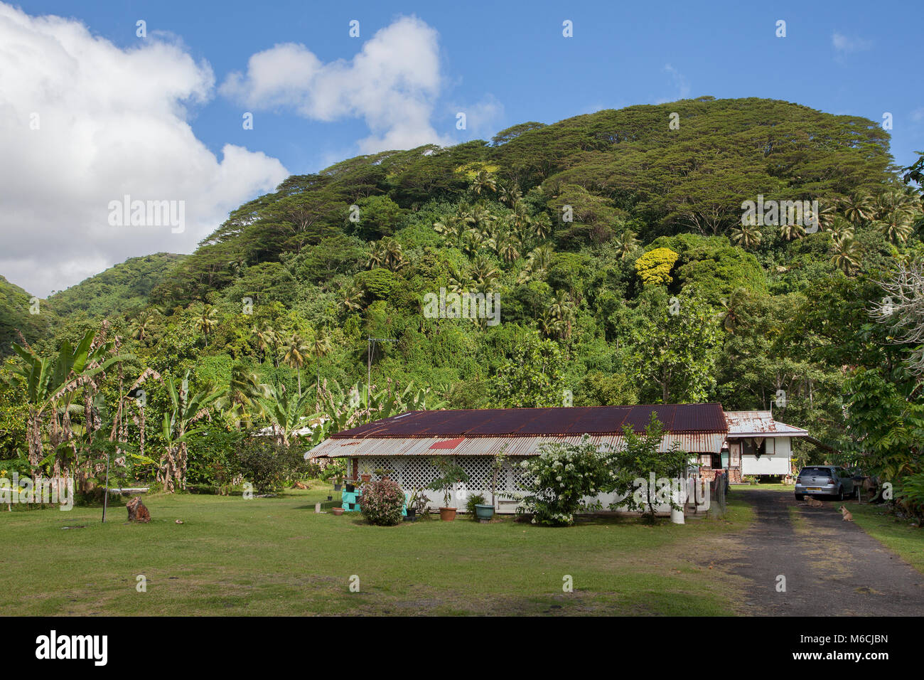 Maison typique, isolé, hill, green, Tahiti, Polynésie Française Banque D'Images
